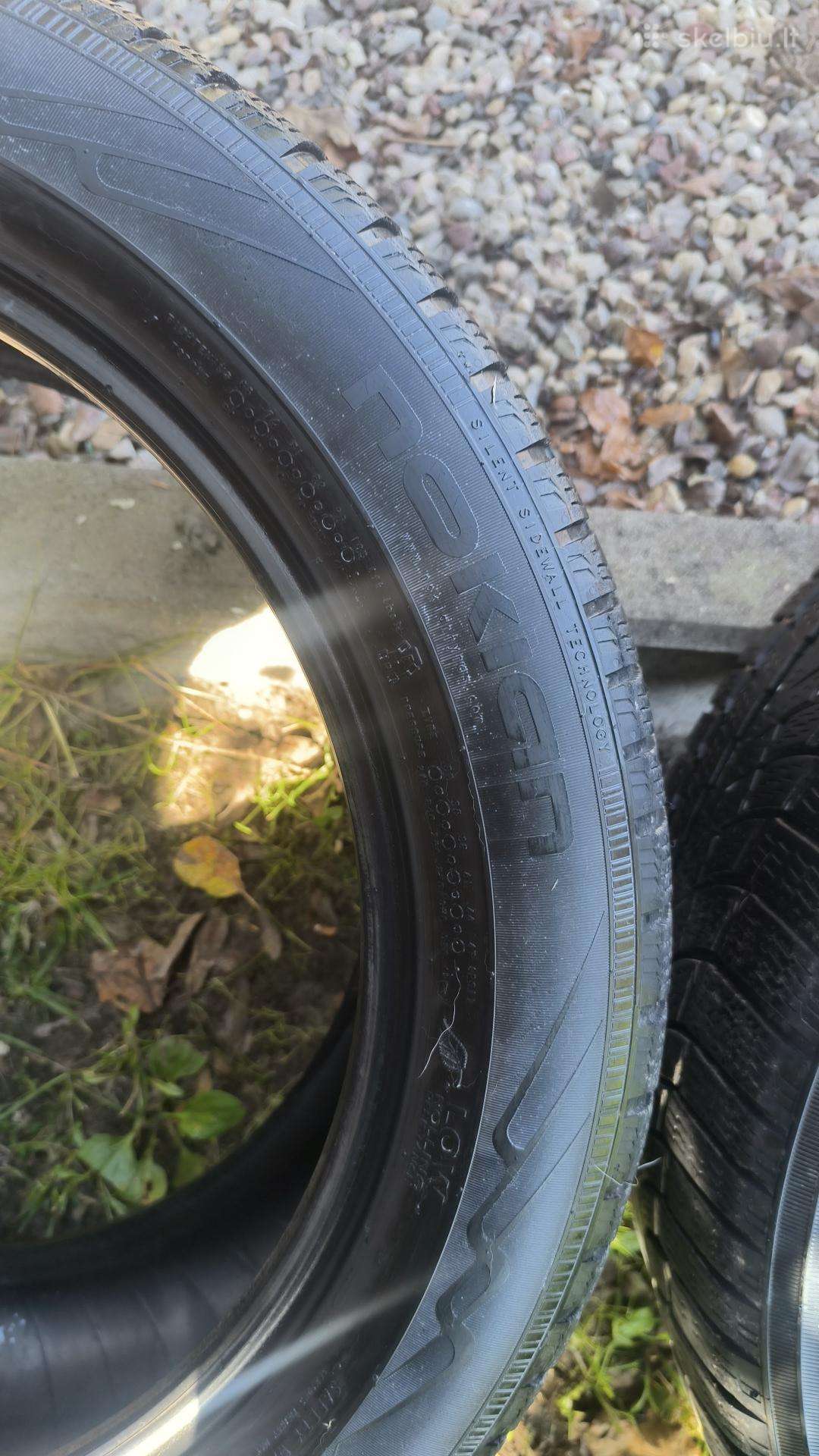 Nokian padangos