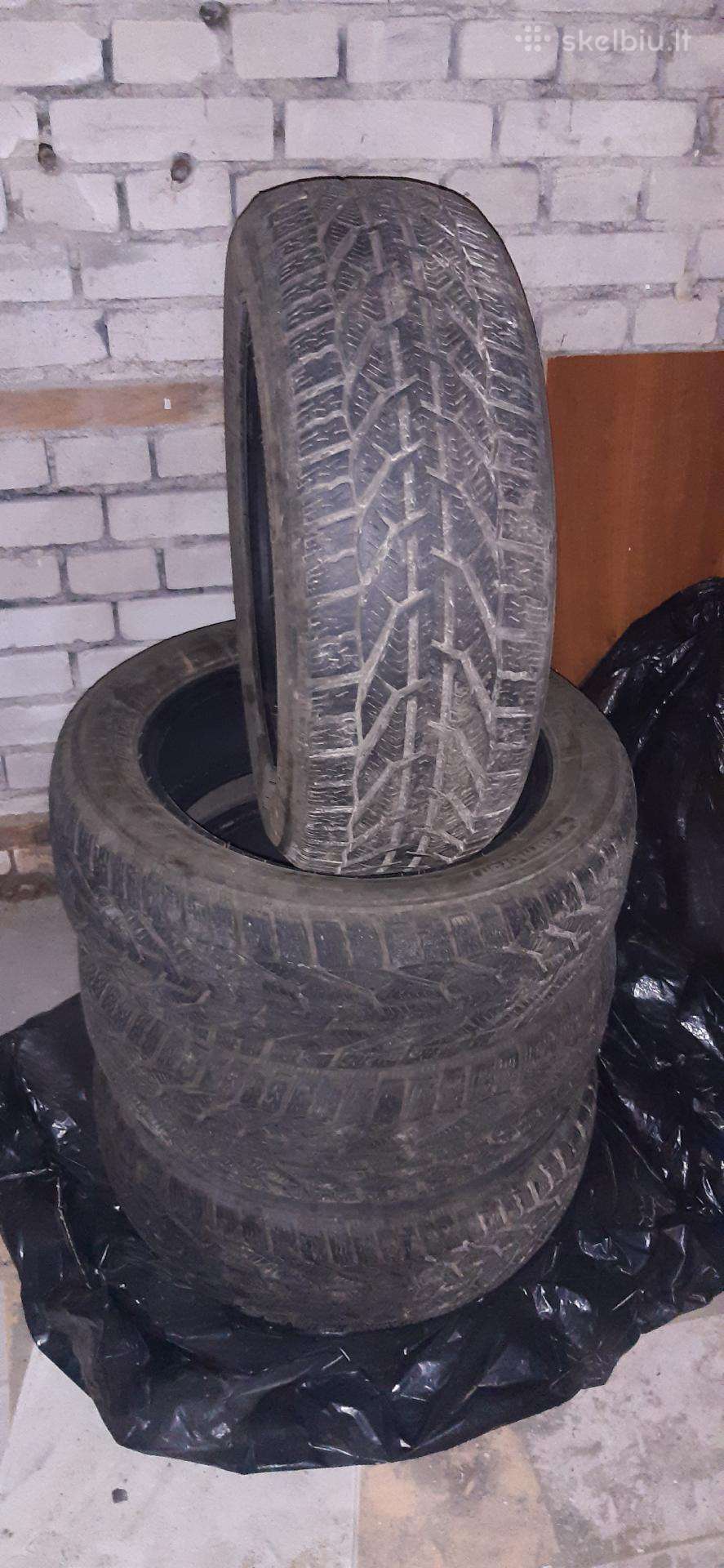 Ziemines padangos