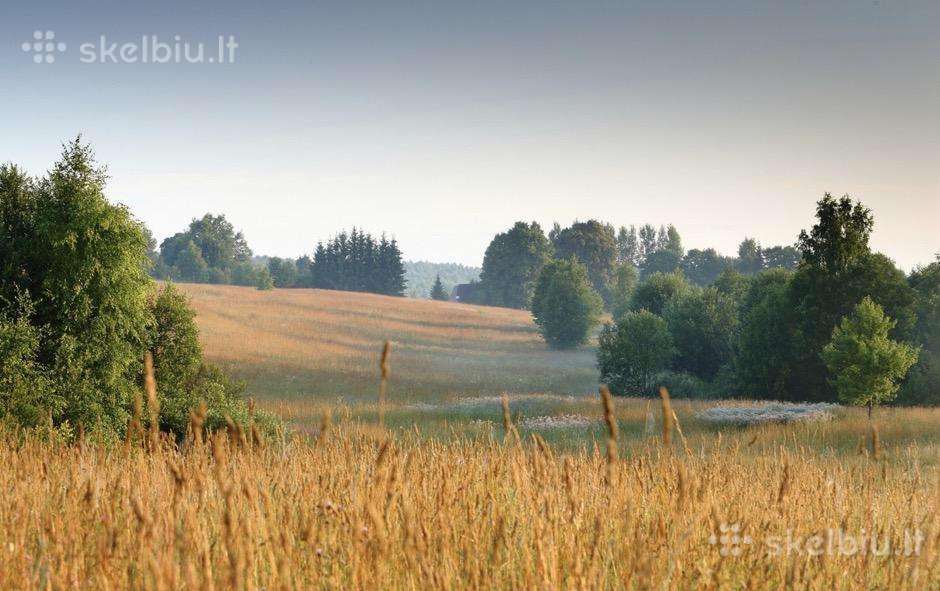Parduodu žemės ūkio paskirties sklypą Šilutės r.