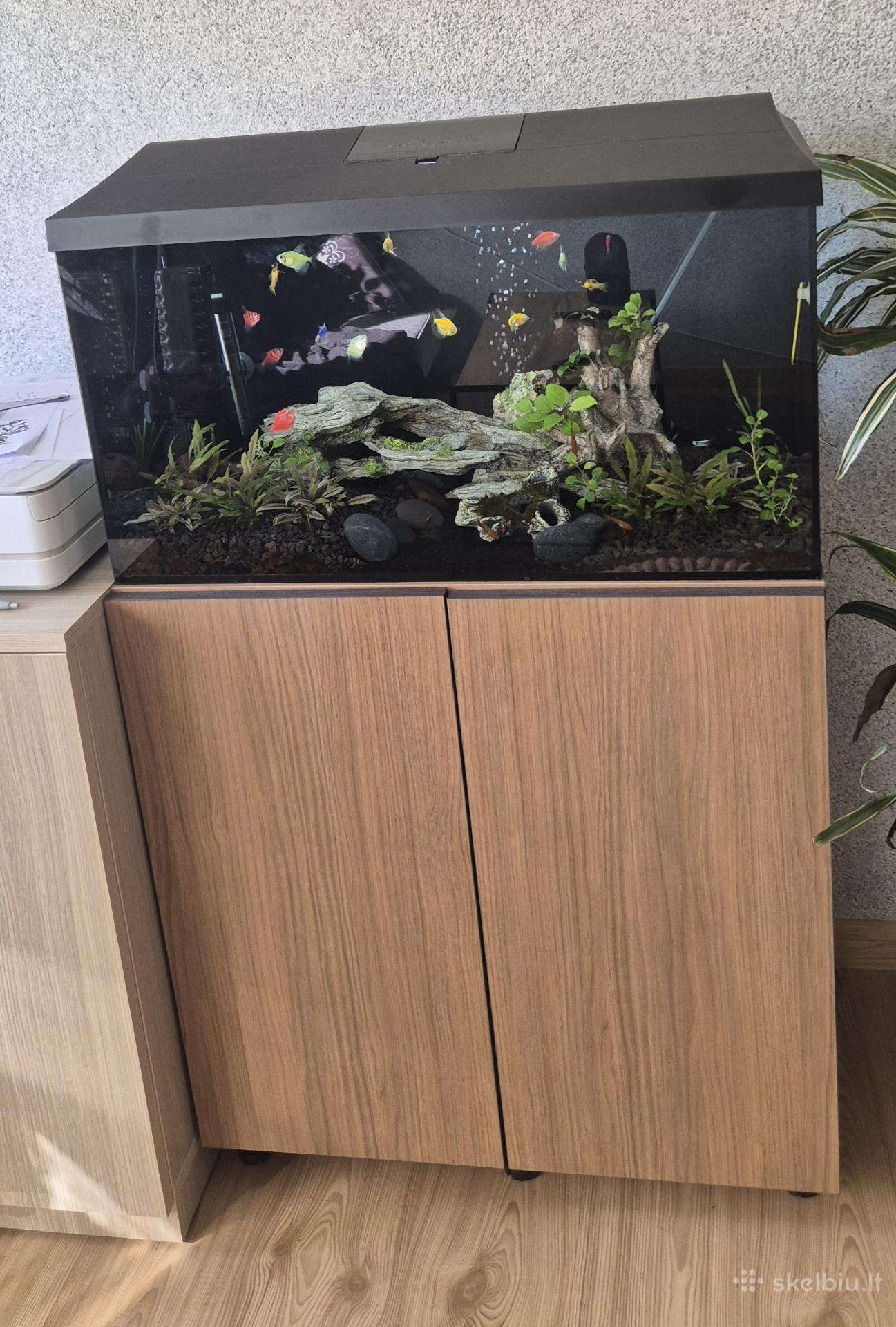 Akvariumas