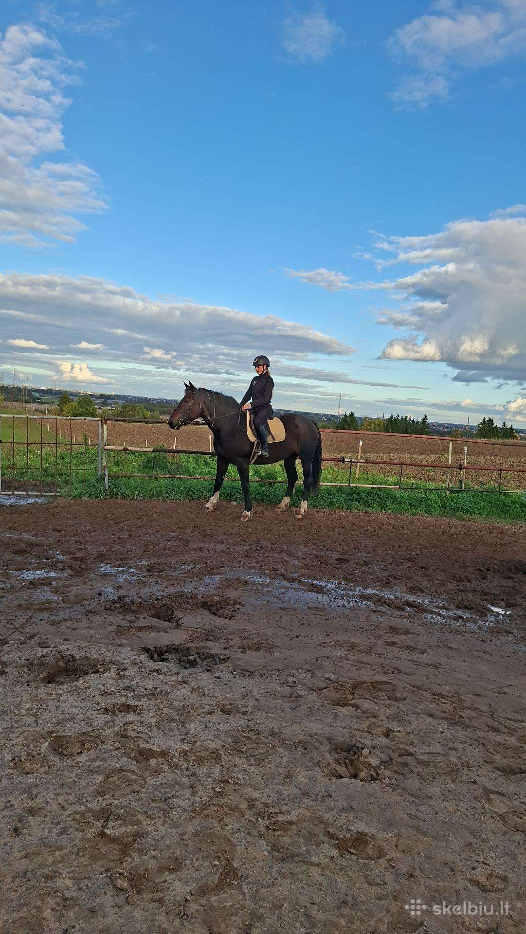 7m kumele