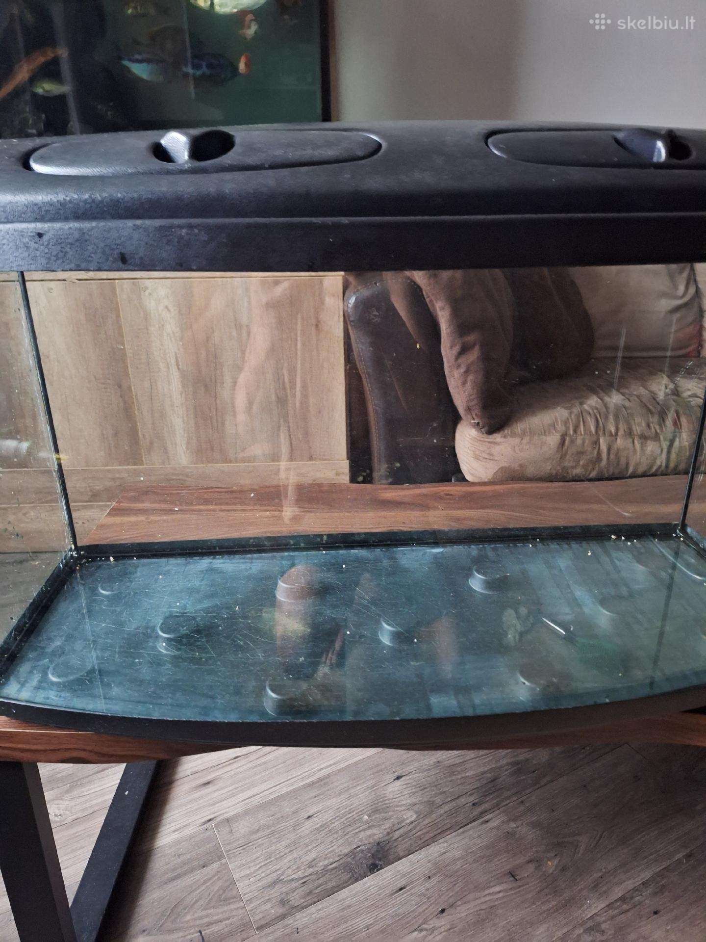 Akvariumas išlenkto stiklo apie 100l.