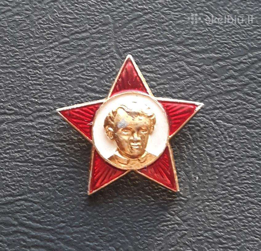 Spaliuko žvaigždutė 13 Leninas