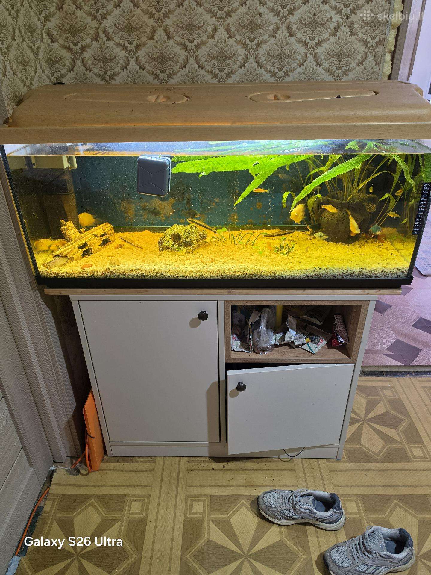 Akvariunas