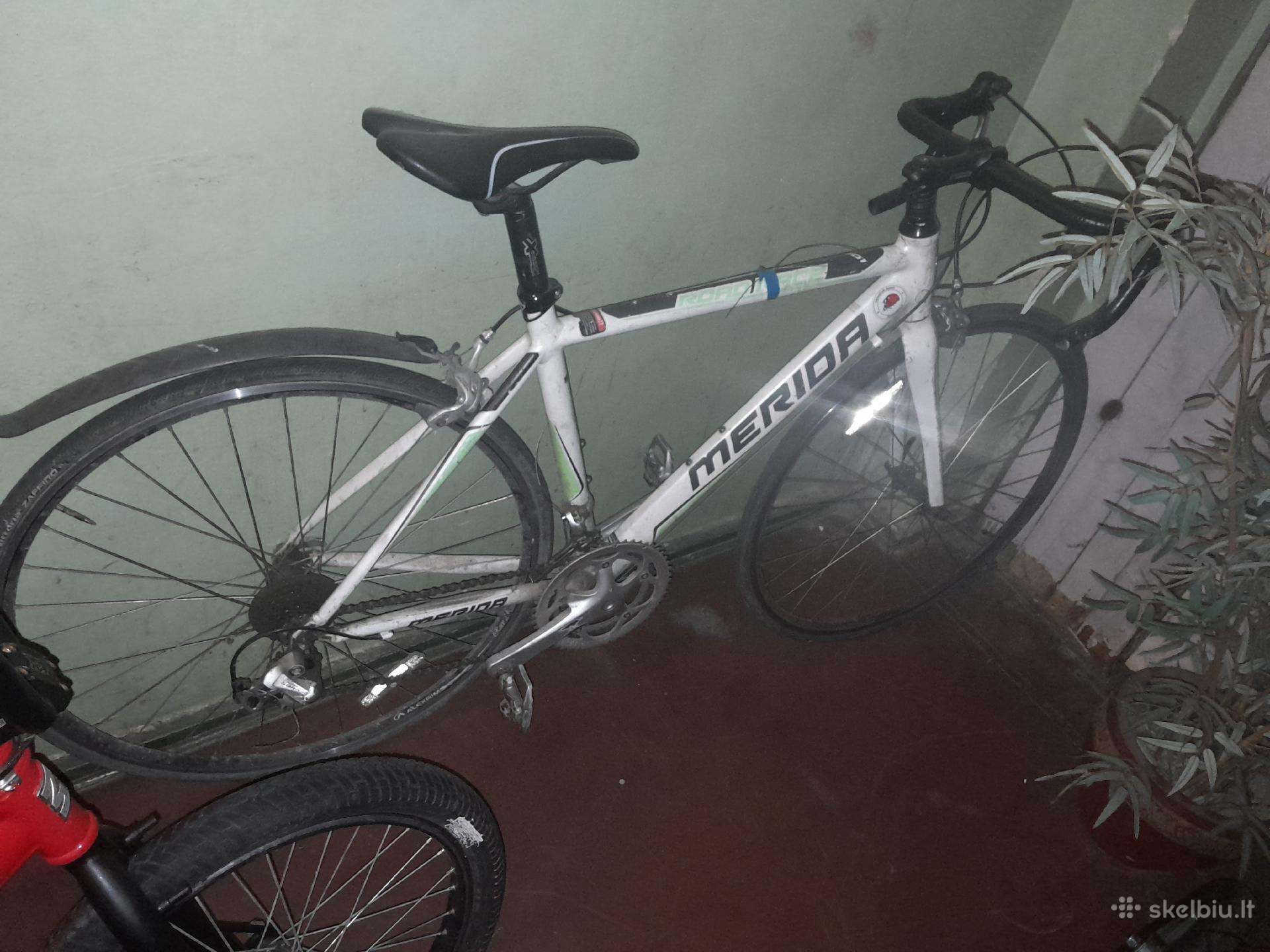 Merida plentinis.