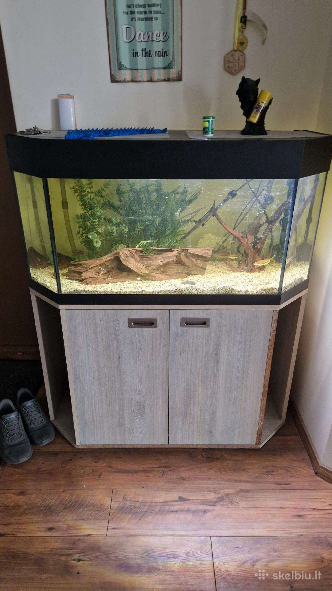 Akvariumas 240 L su priedais