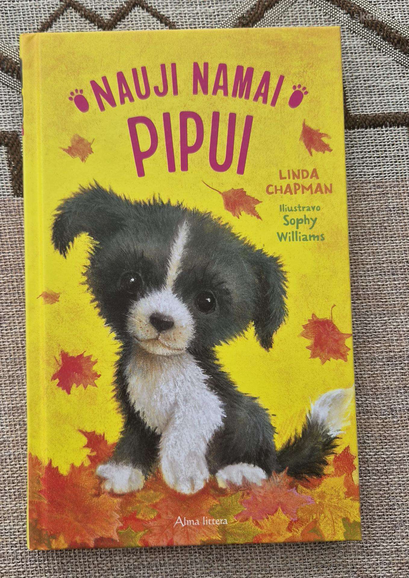 Knyga vaikams. Nauji namai Pipui