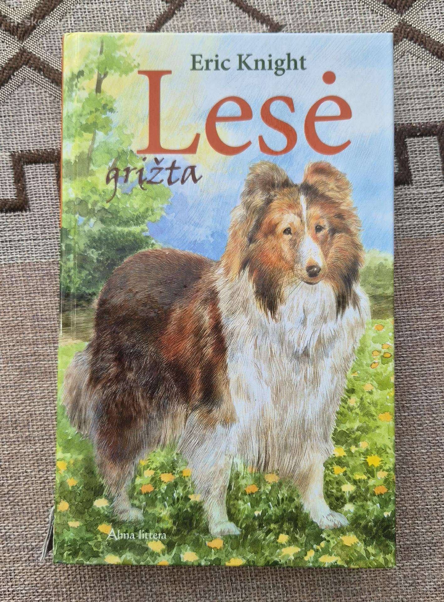 Knyga. Lesė grįžta