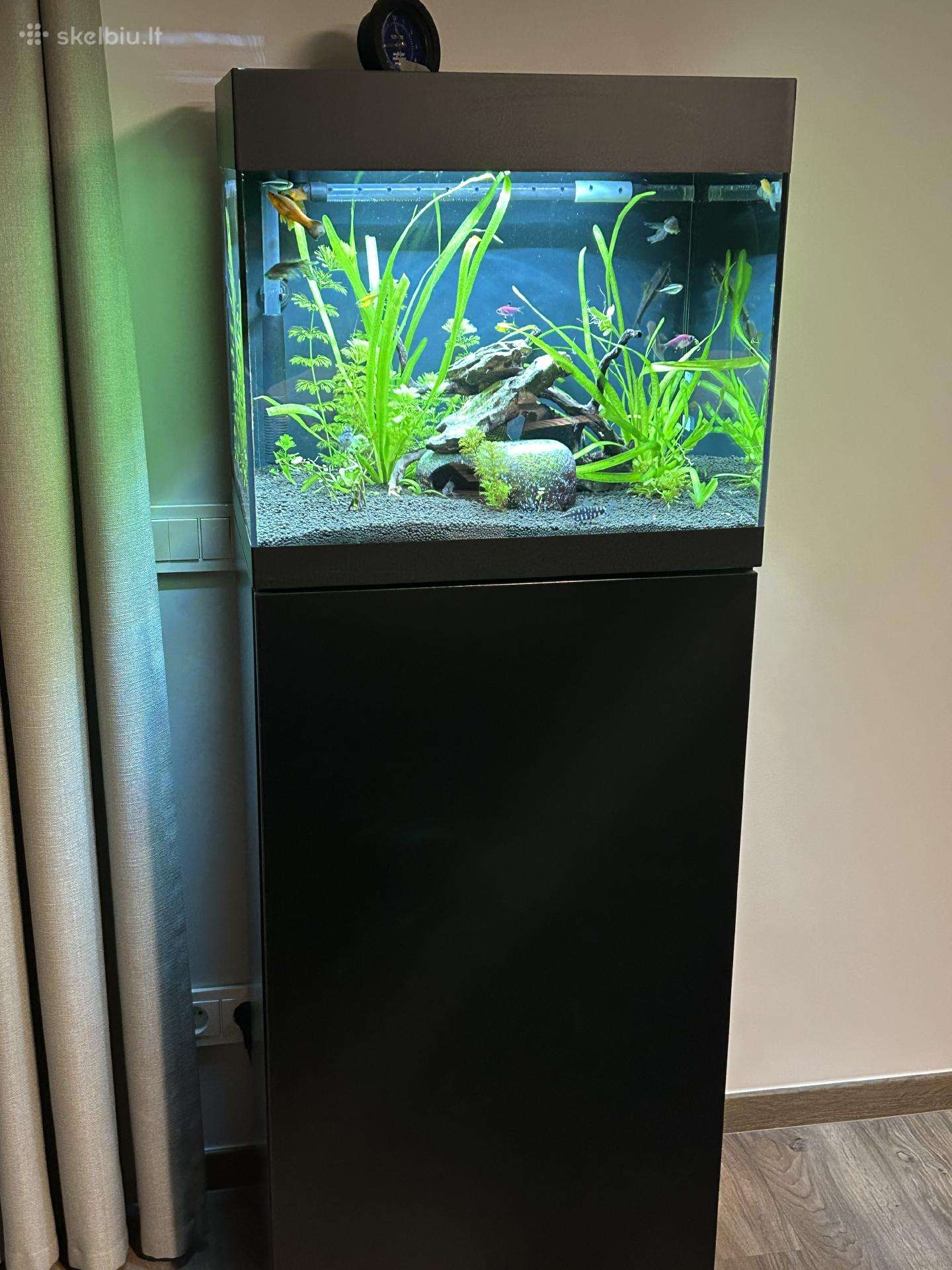 Akvariumas Oase 85