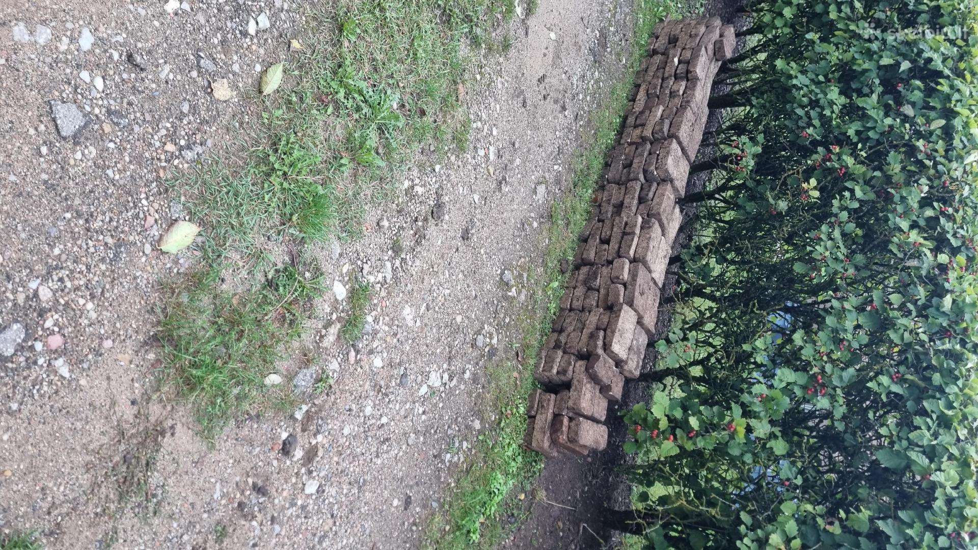 Dovanoju