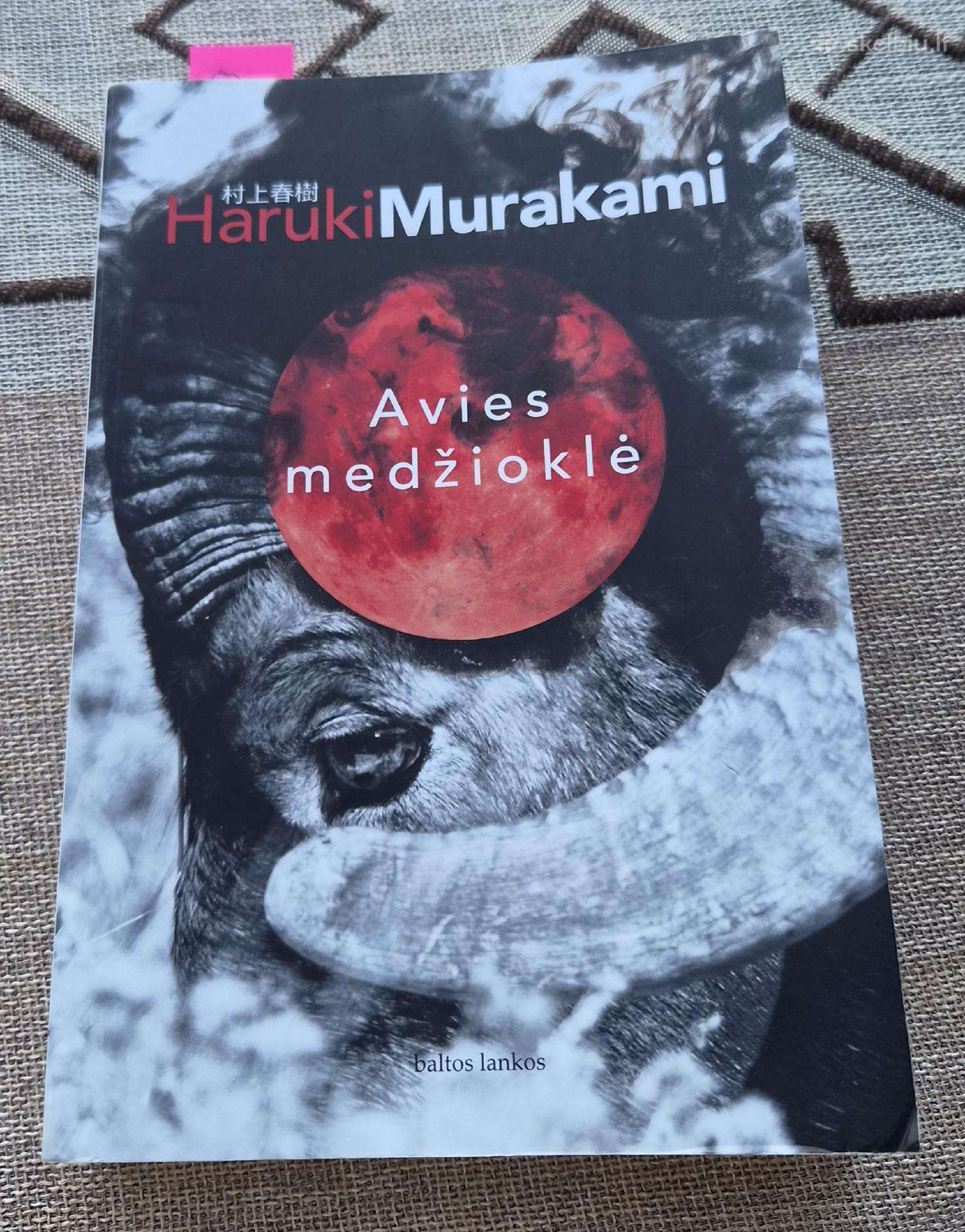 Knyga. Avies medžioklė: [romanas]
