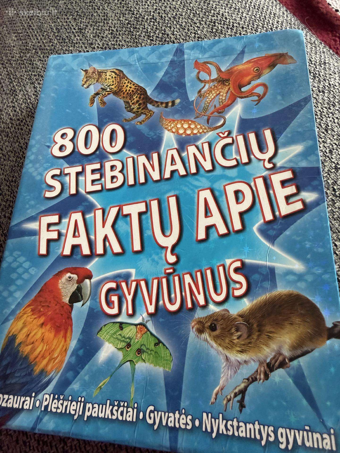 Knyga vaikams