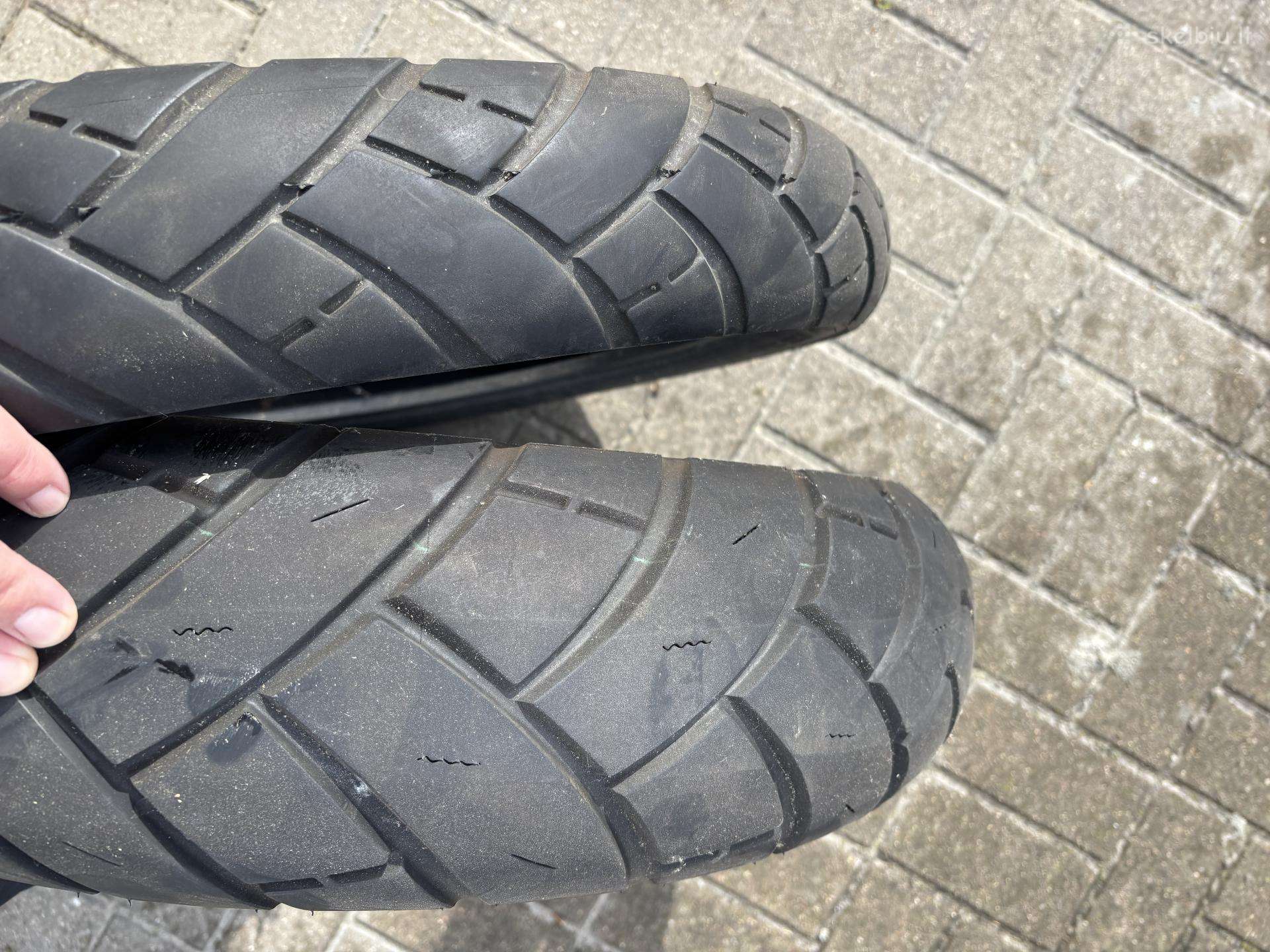 Moto padangos Avon Av54