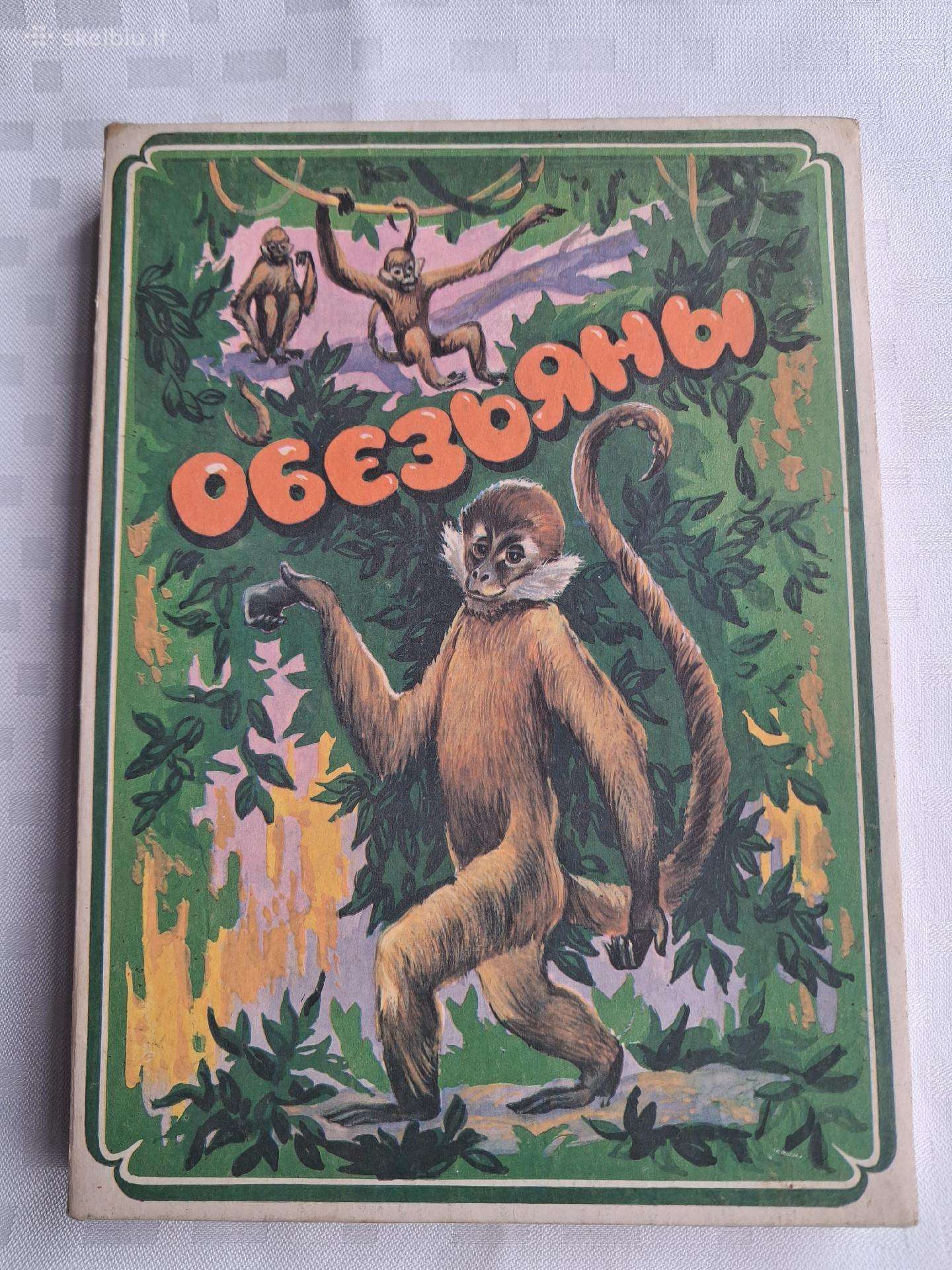 Suvenyriniai degtukai