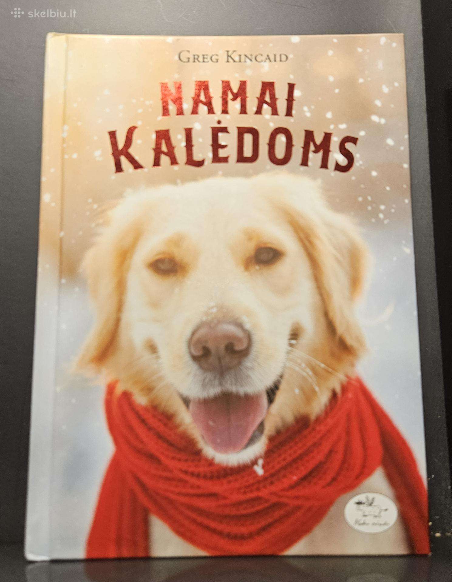 Knyga vaikams. Namai kalėdoms