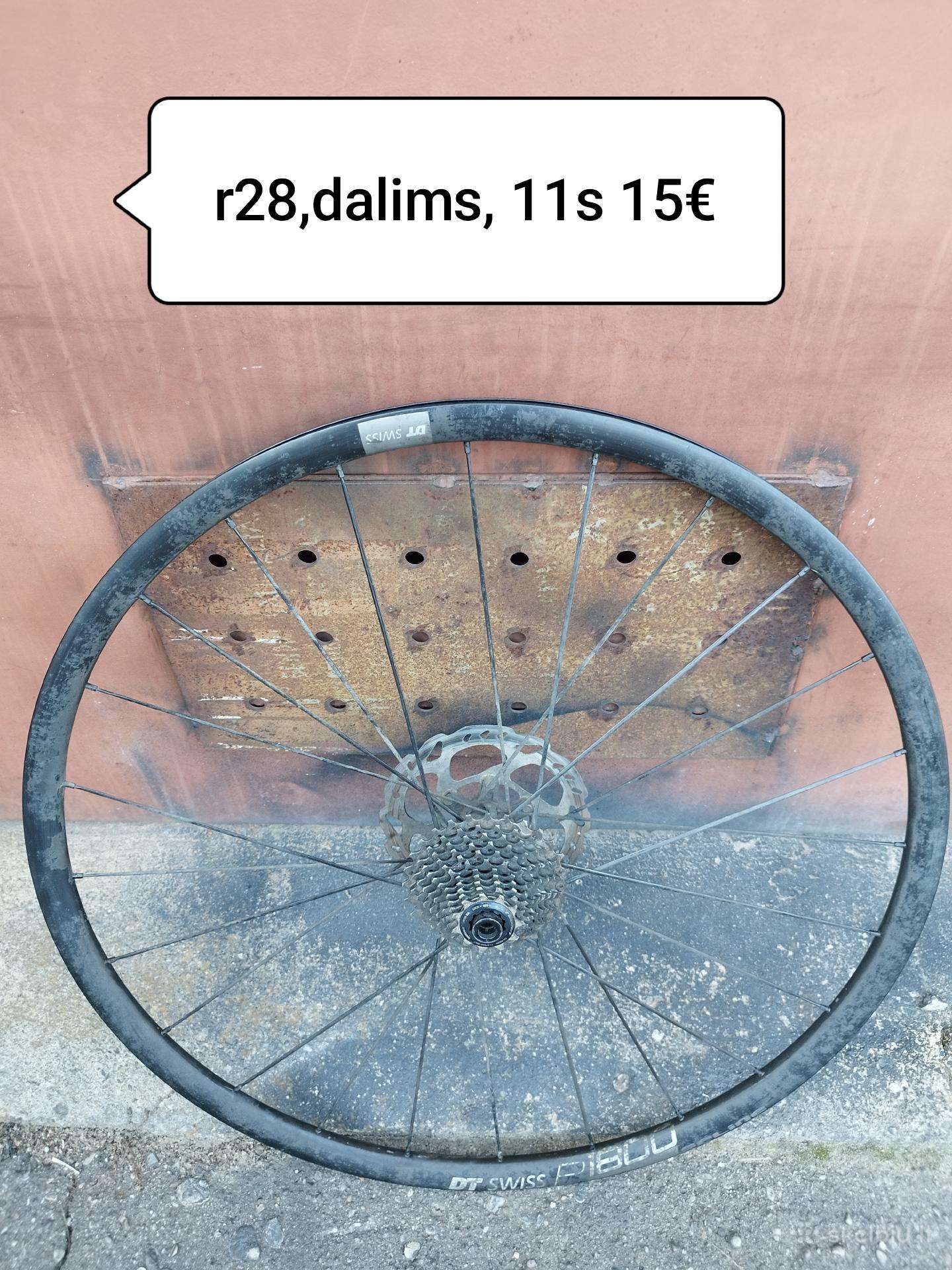 DT swiss 28 ratas