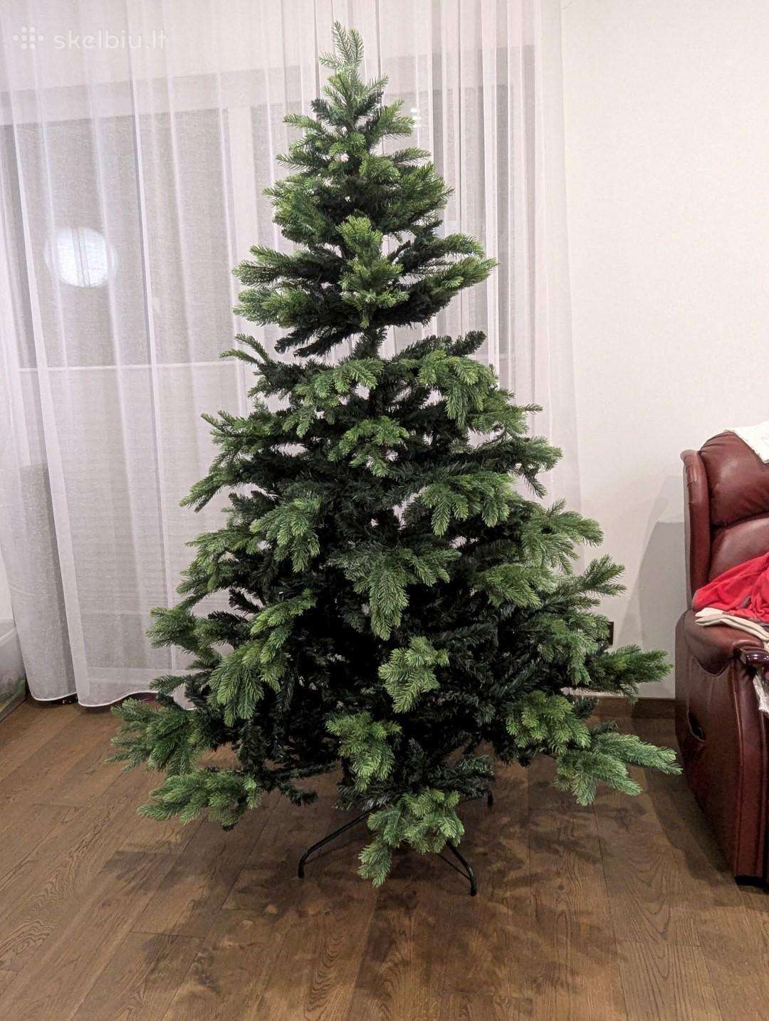 Dekoratyvinė najametinė eglutė 200-220cm