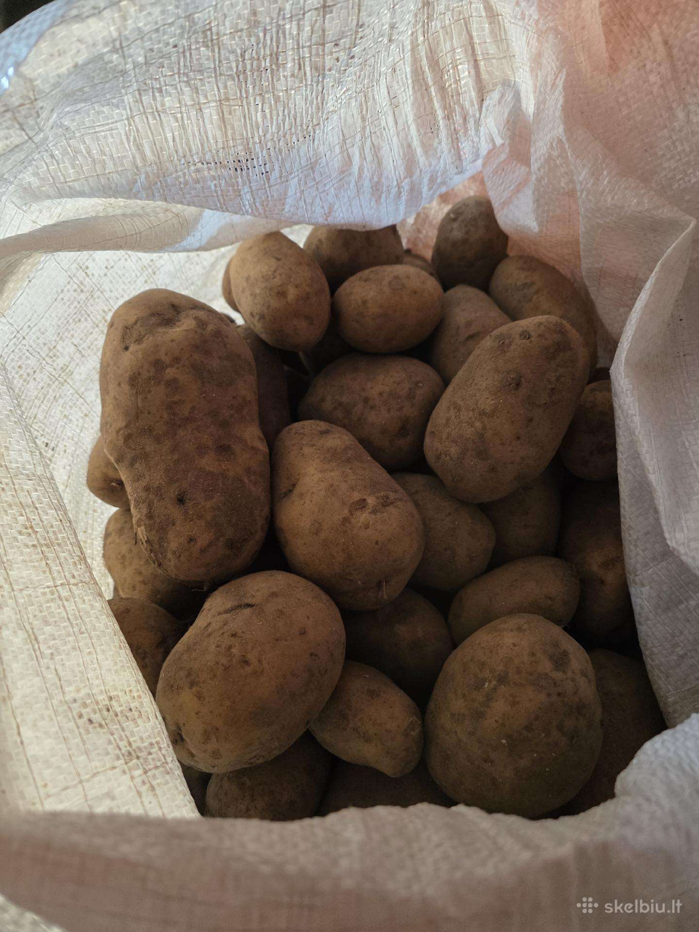 Bulvės