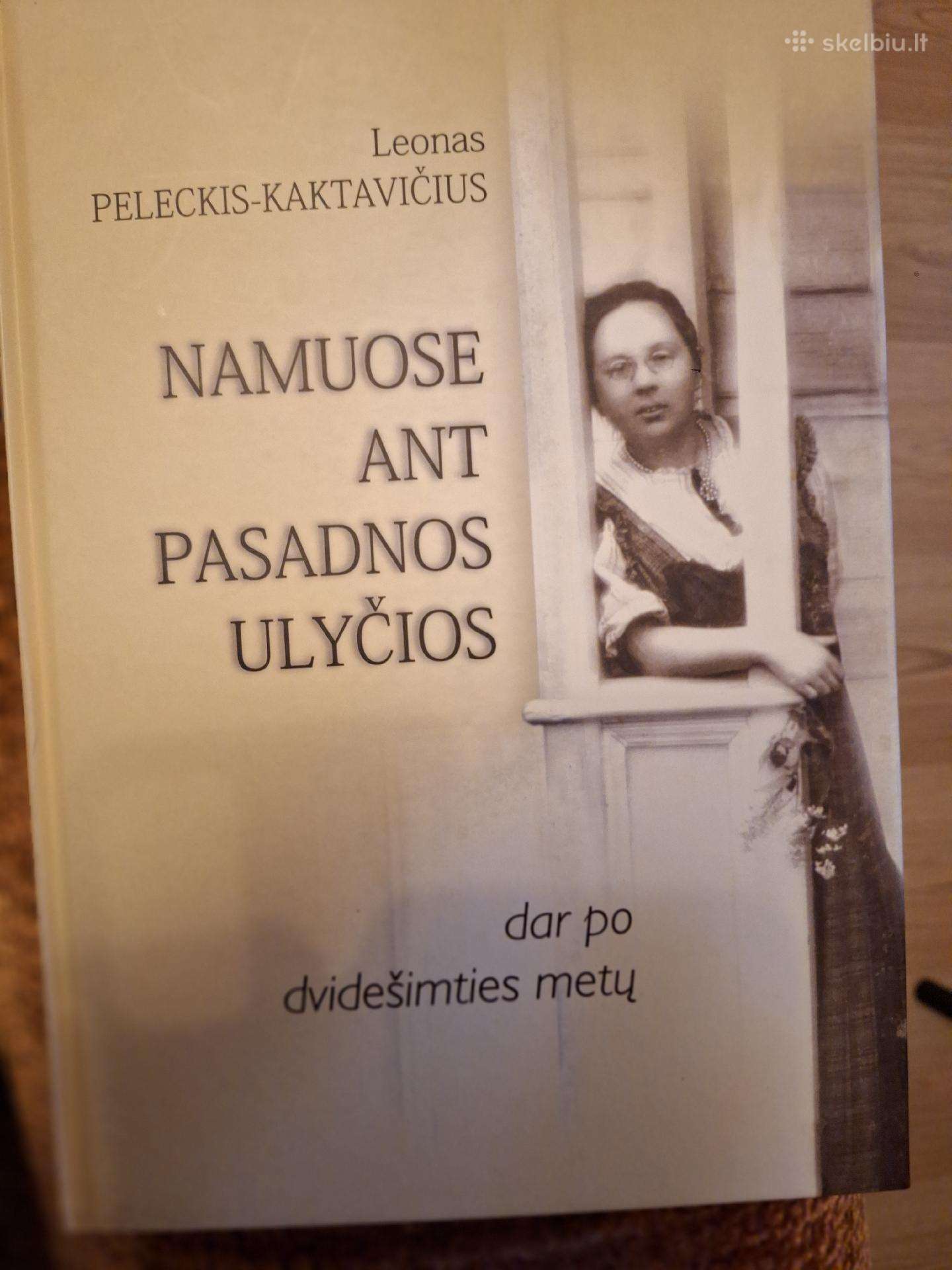 Namuose ant pasadnos ulyčios