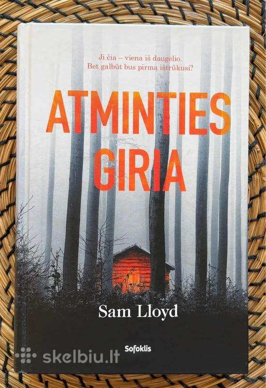 Atminties giria