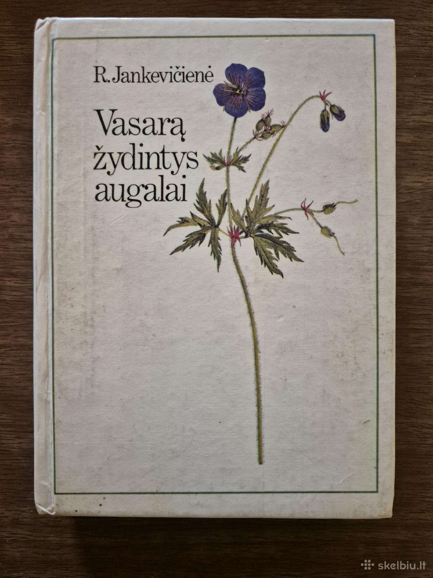 Knyga Vasarą žydintys augalai
