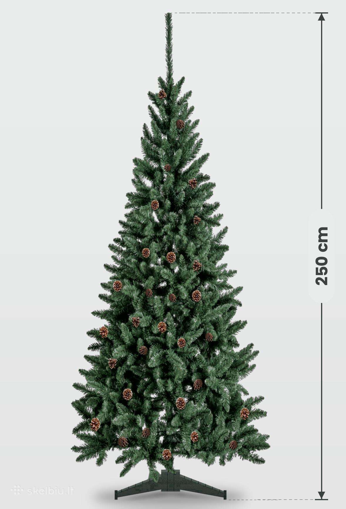 Naujos dirbtinės eglės Tytus 220cm, Pola, Lena 250