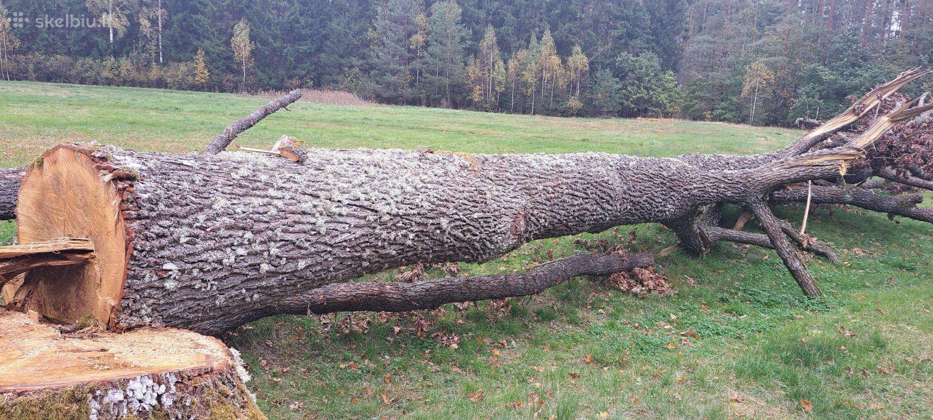 Ąžuolinės malkos ir ąžuolo rąstai.