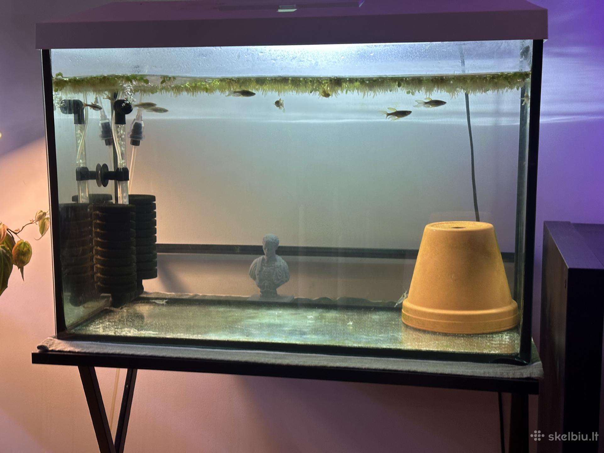 72 l akvariumas – 60 30 40 cm