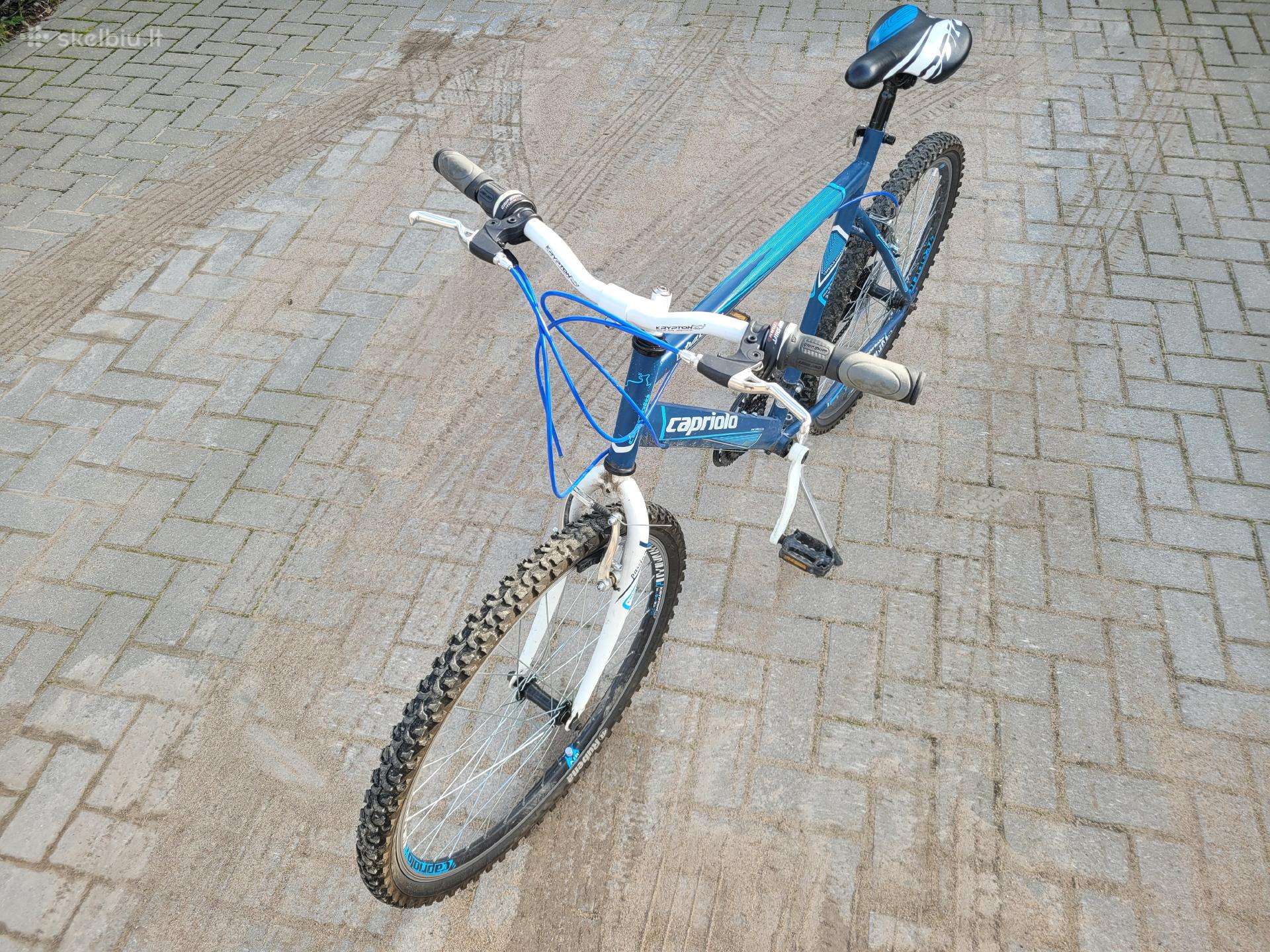 26" dviratis Capriolo