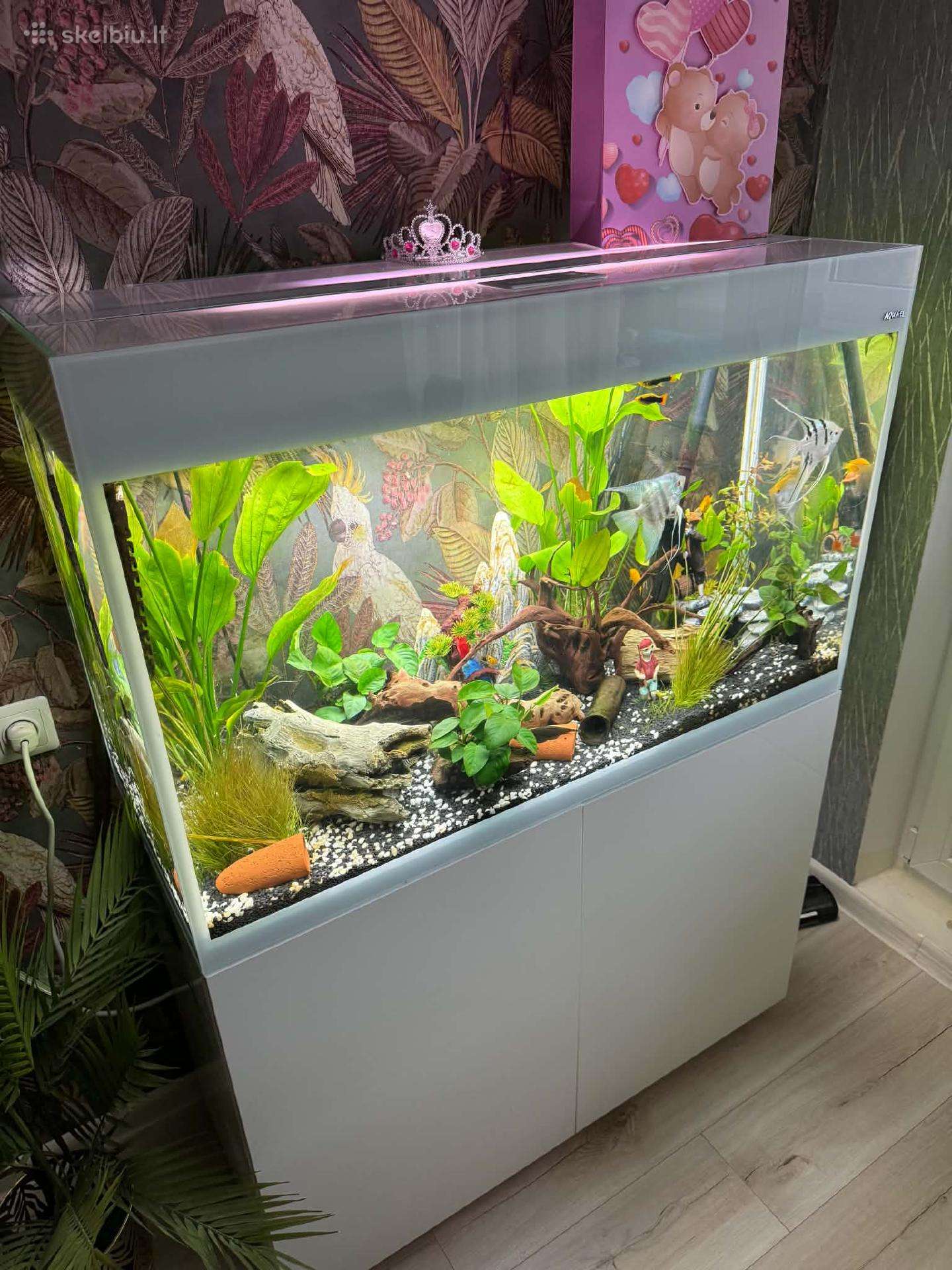Akvariumas