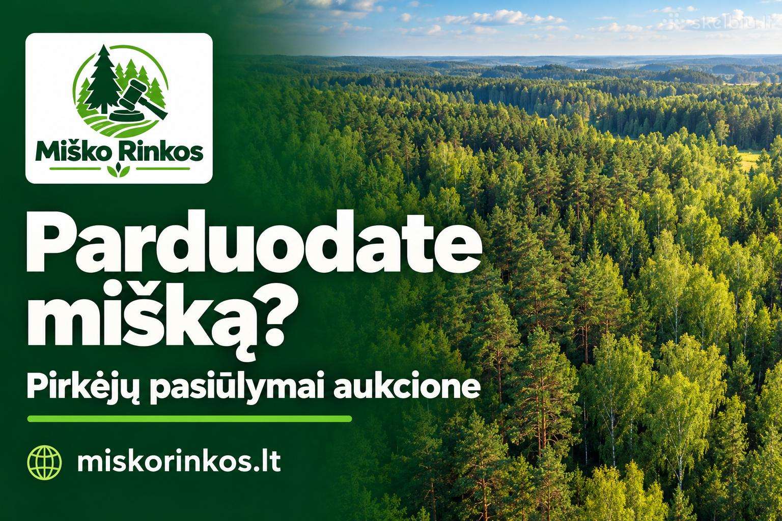 Padedame parduoti mišką aukcione