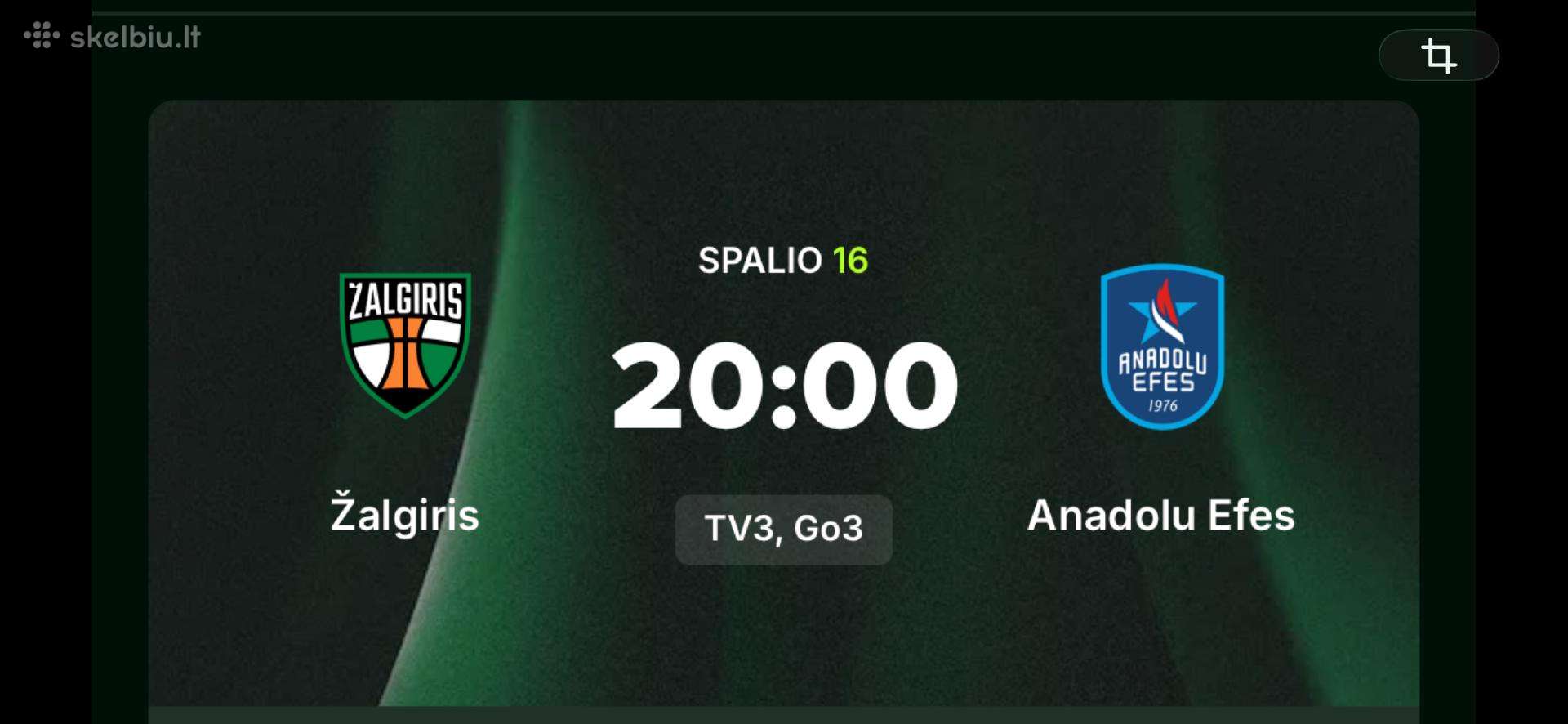Audi Žalgiris - Efes