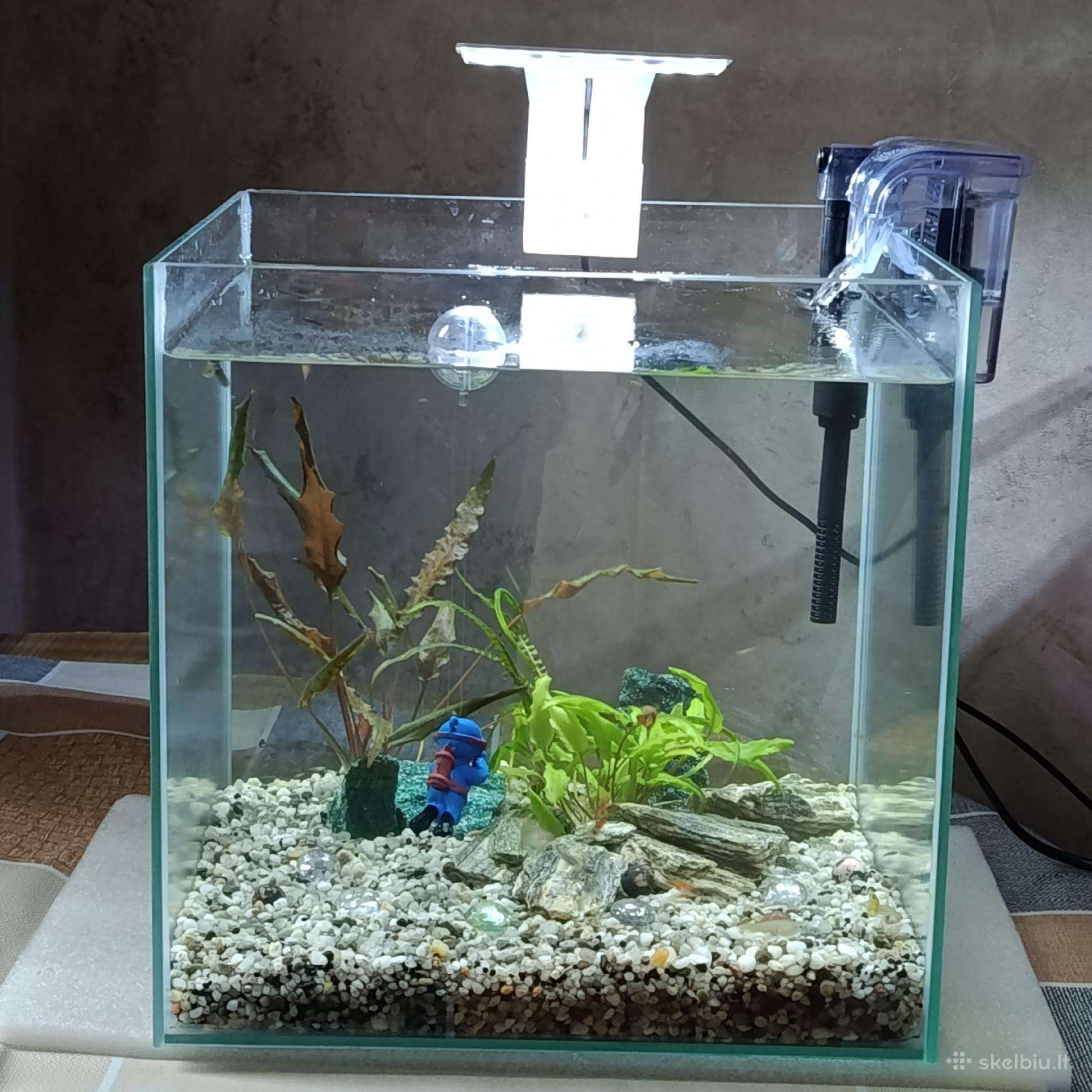 Akvariumas.