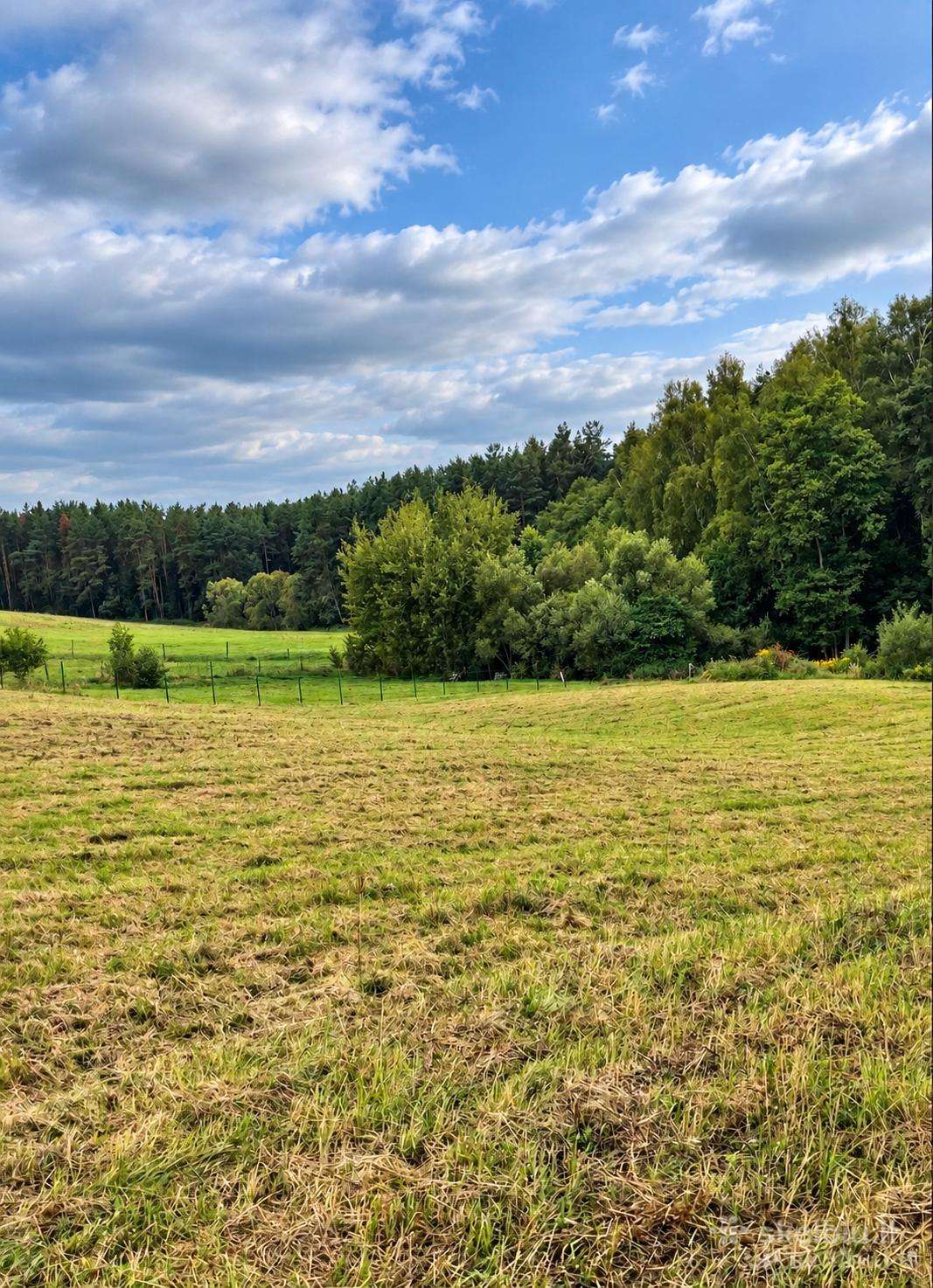 Parduodamas 50 A Sklypas Ūkininko Sodybai