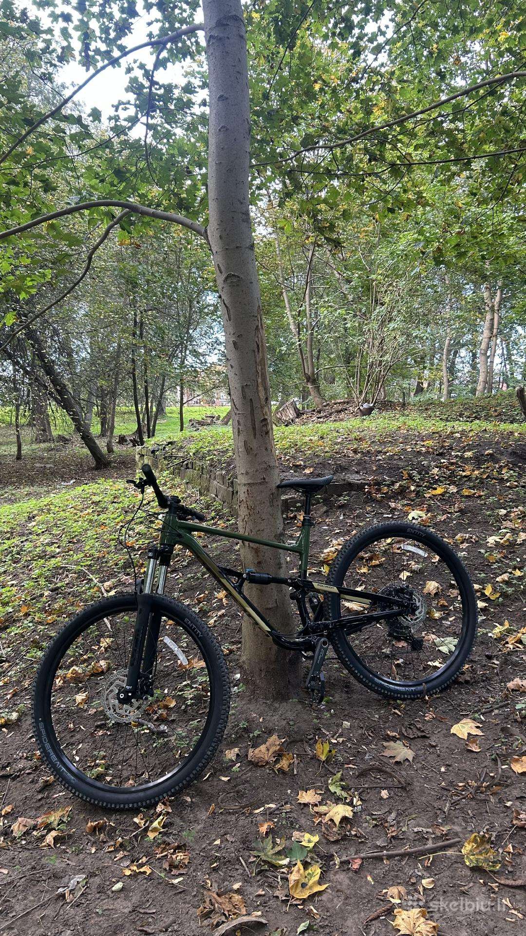 Polygon siskiu d6