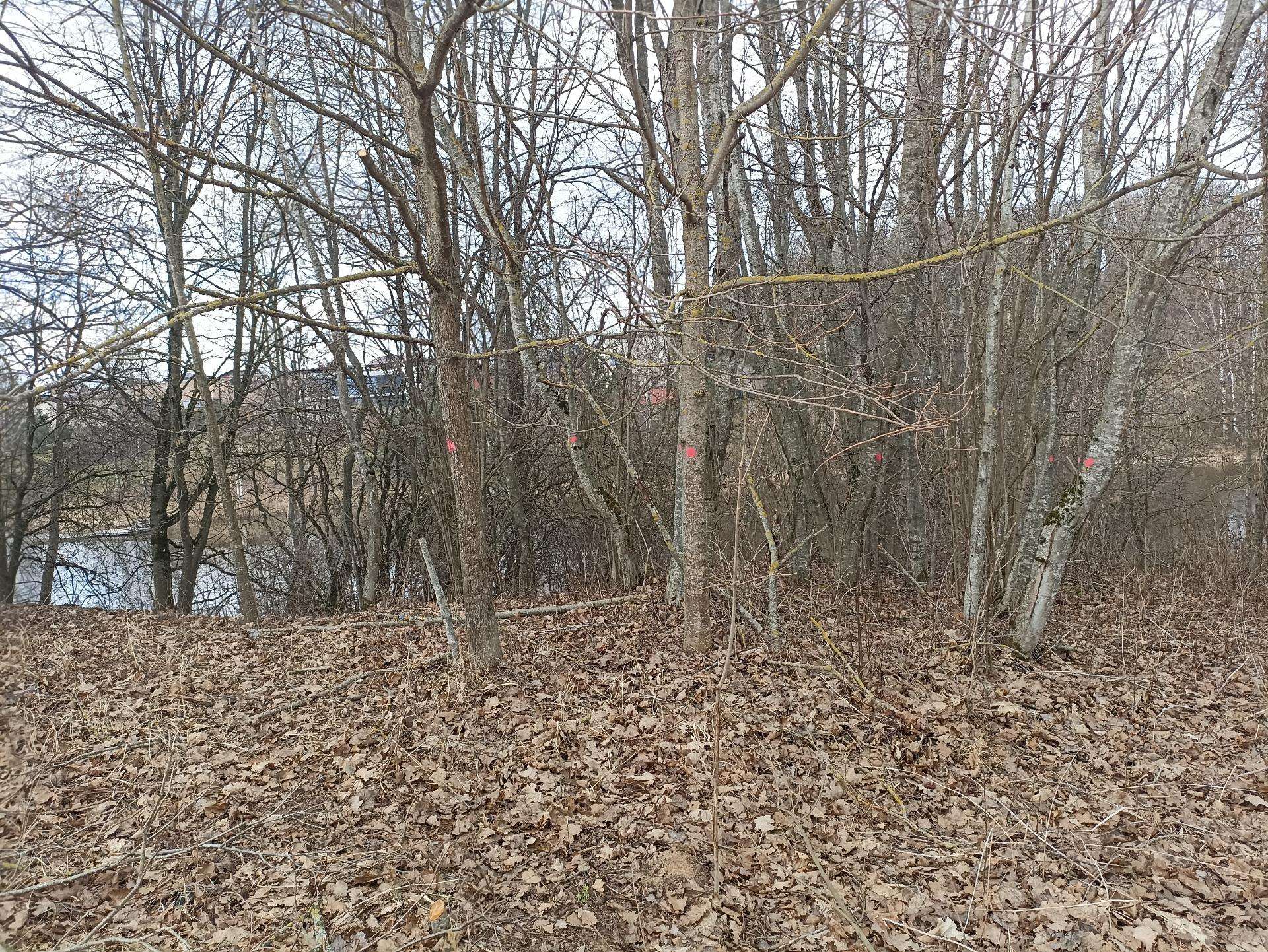 Sklypas prie Ramučių tvenkinio, Kauno raj.,
