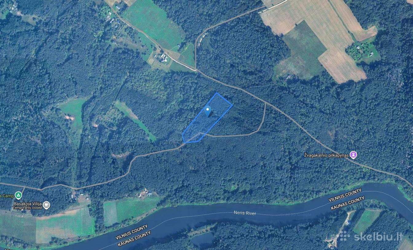 Parduodamas 2,02 ha pušynas Širvintų rajone