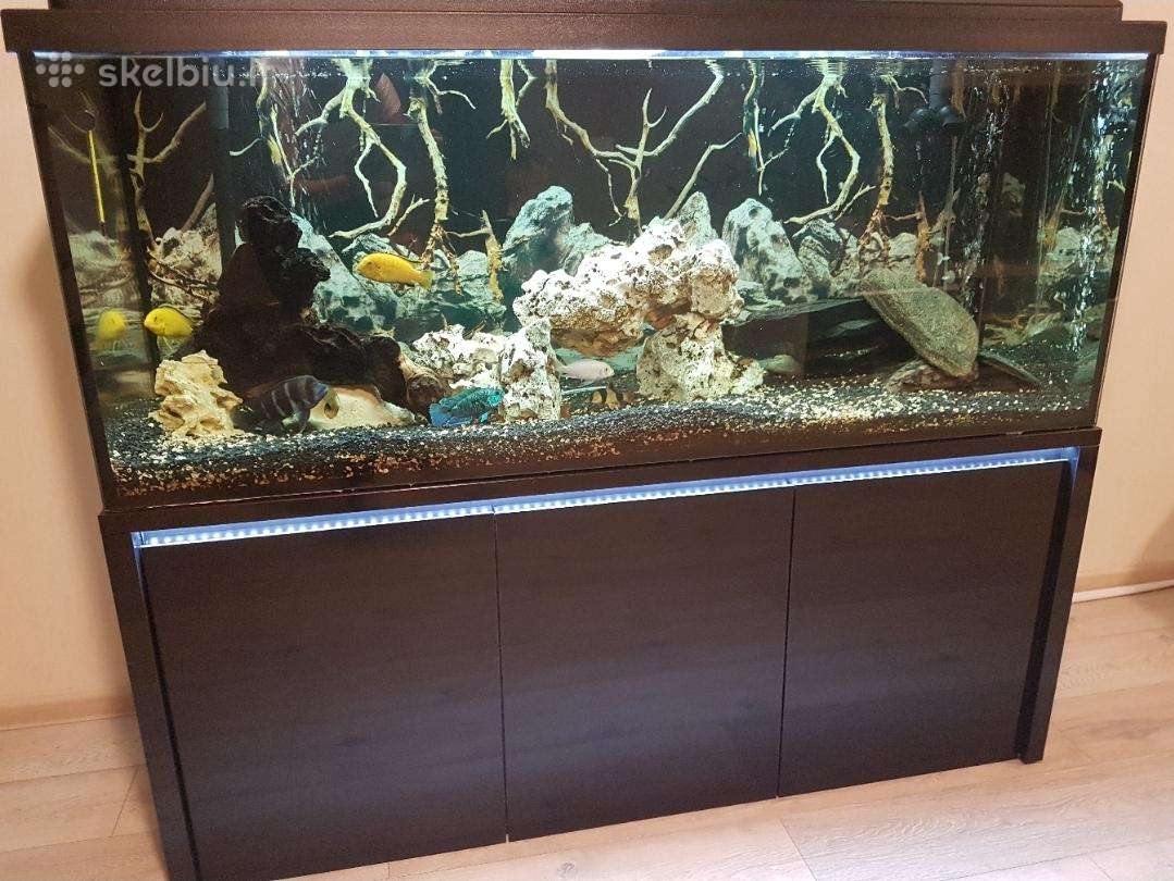 Parduodamas 450 L Akvariumas Su Spintele Ir Įranga