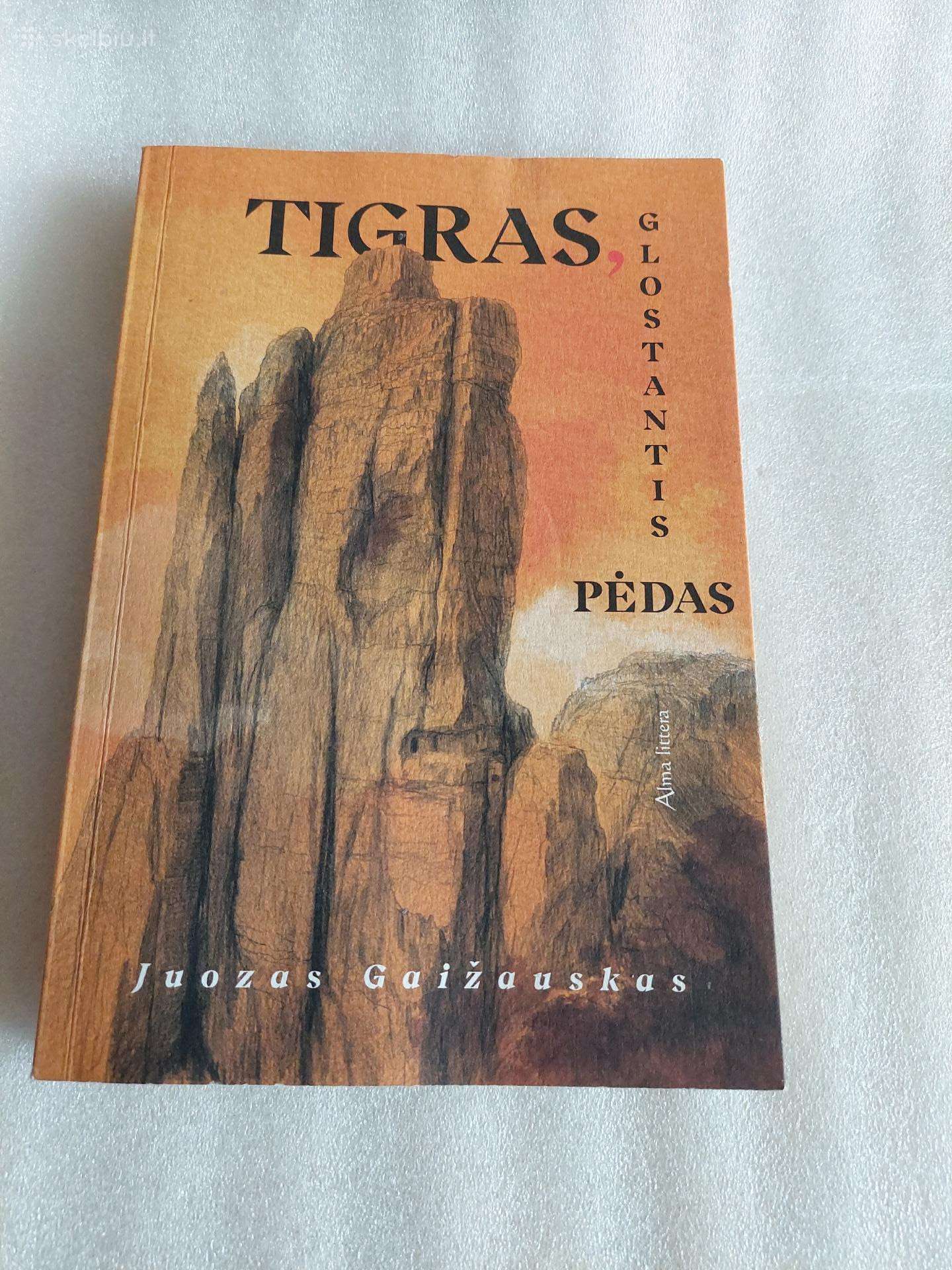 Tigras, glostantis pėdas