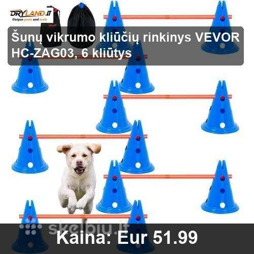 Augintinių Aktyvumas Namuose – Bėgimo Takeliai