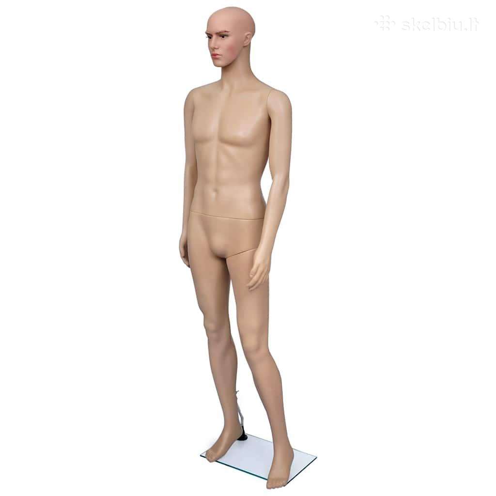 Vyro manekenas, A vidaxl(30018)