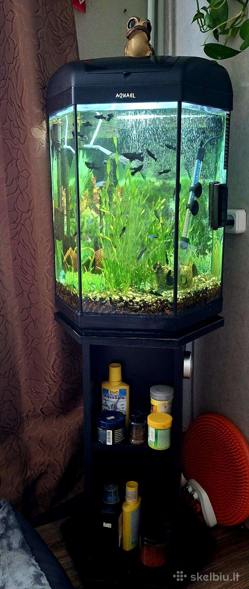 Akvariumas su spintele