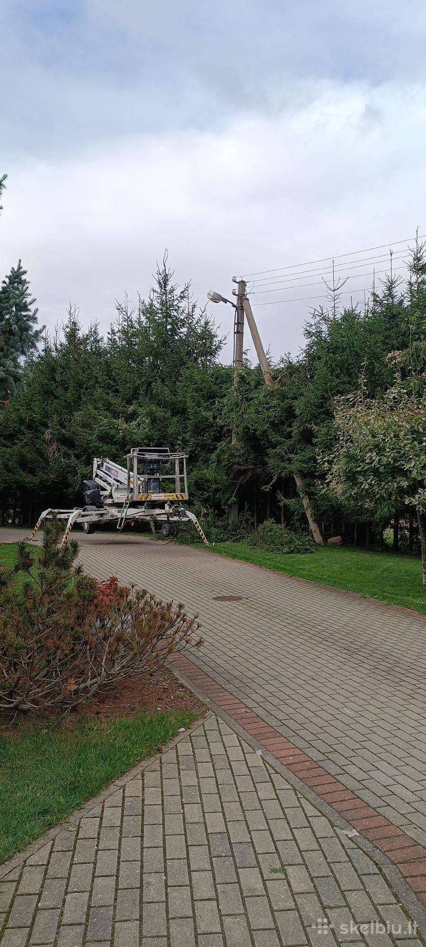 Medžių pjovimas, genėjimas, žolės pjovimas