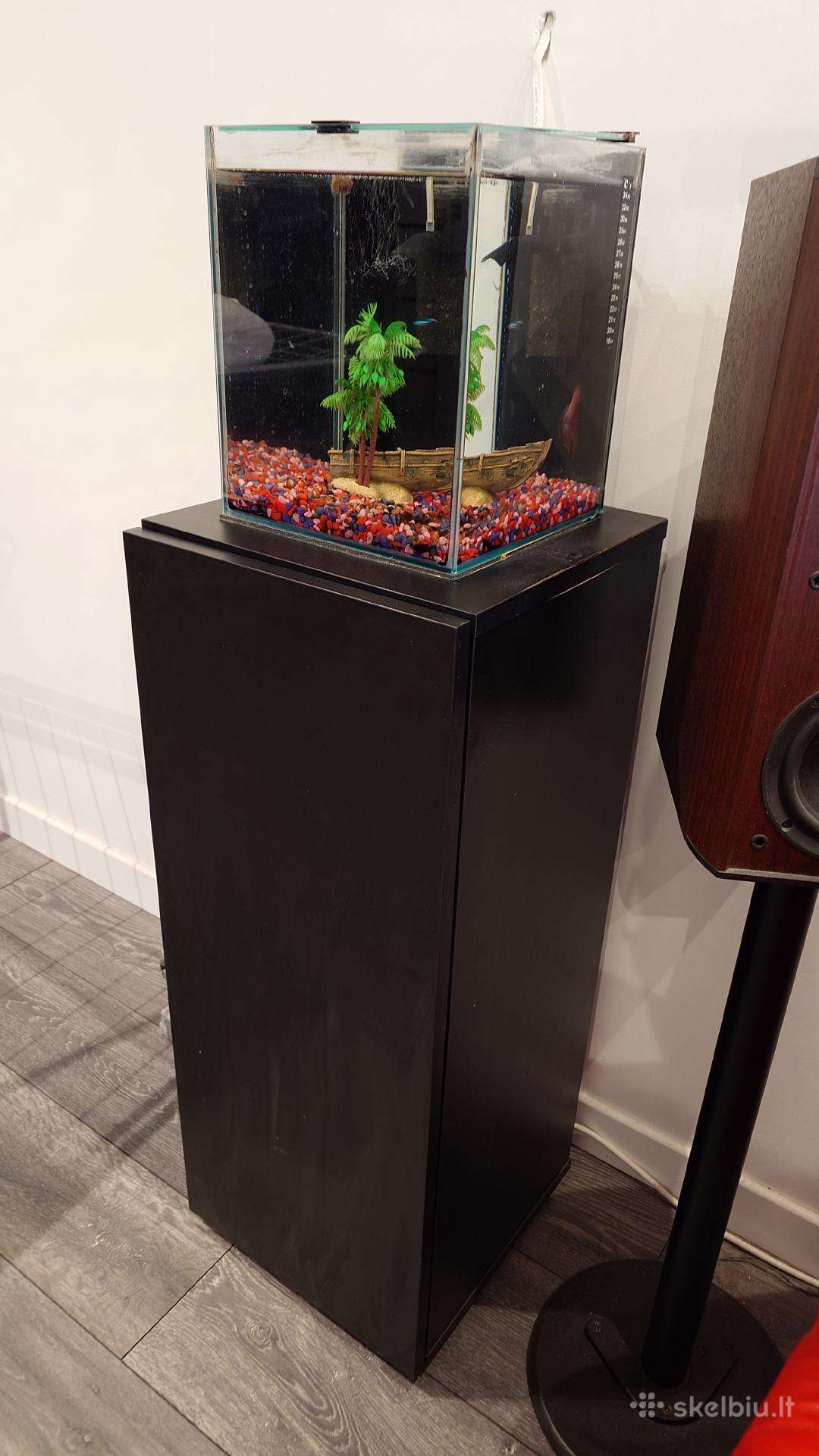 20l akvariumas su zuvytemis, spintele ir priedais