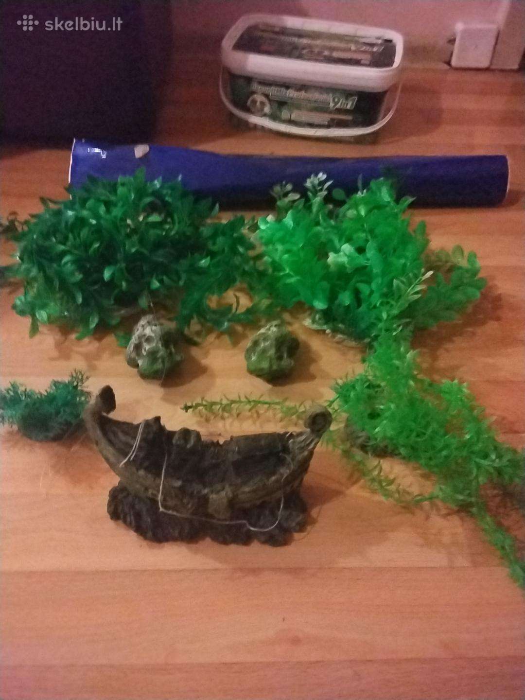 Dekoracijos akvariumui