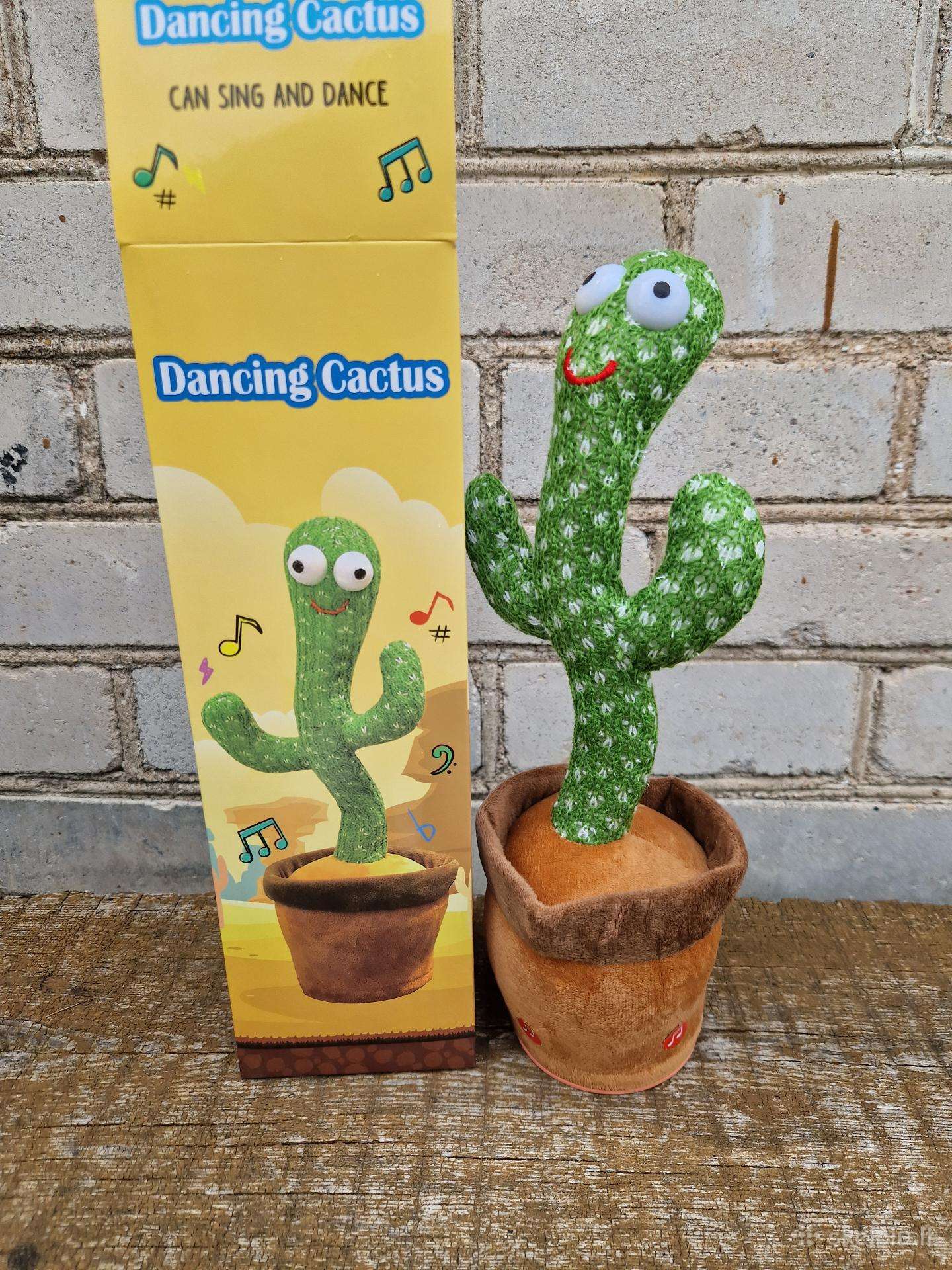 Dainuojantis kaktusas