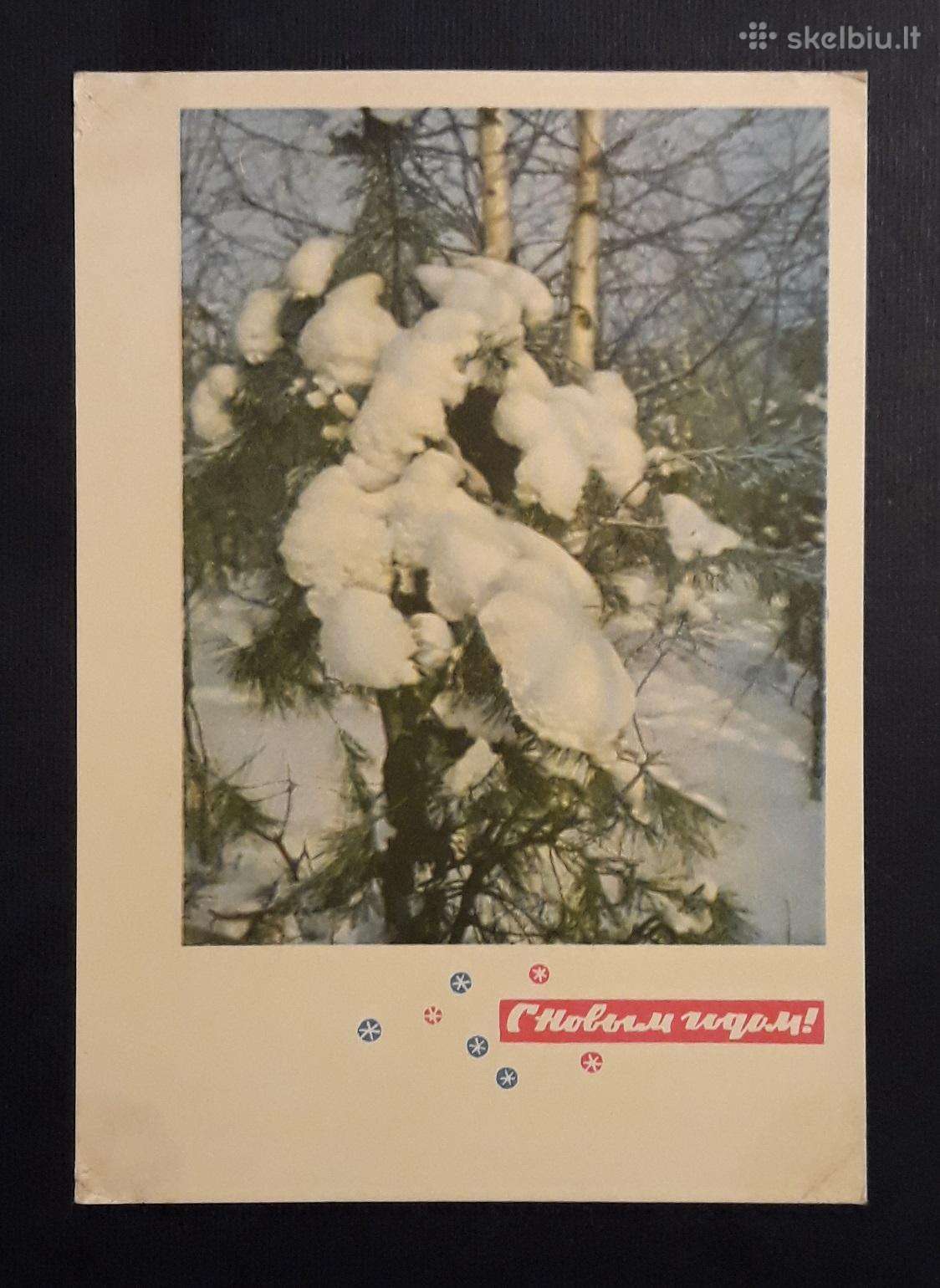 Naujametinė 1966 092-1 dmpk švari vita
