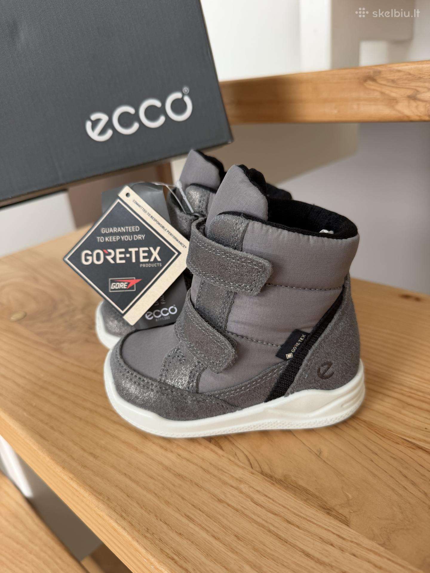 Ecco aulinukai