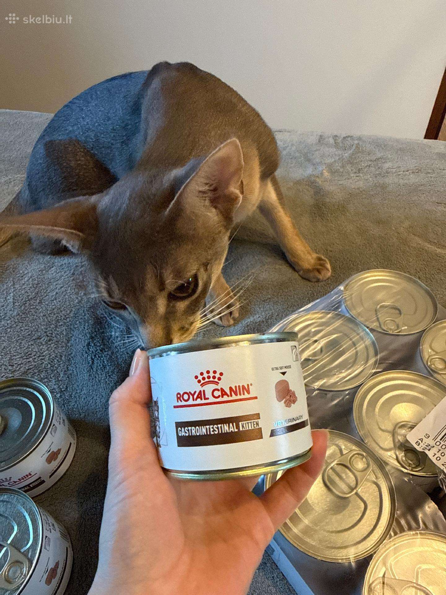 Royal canin gastrointestinal paštetas