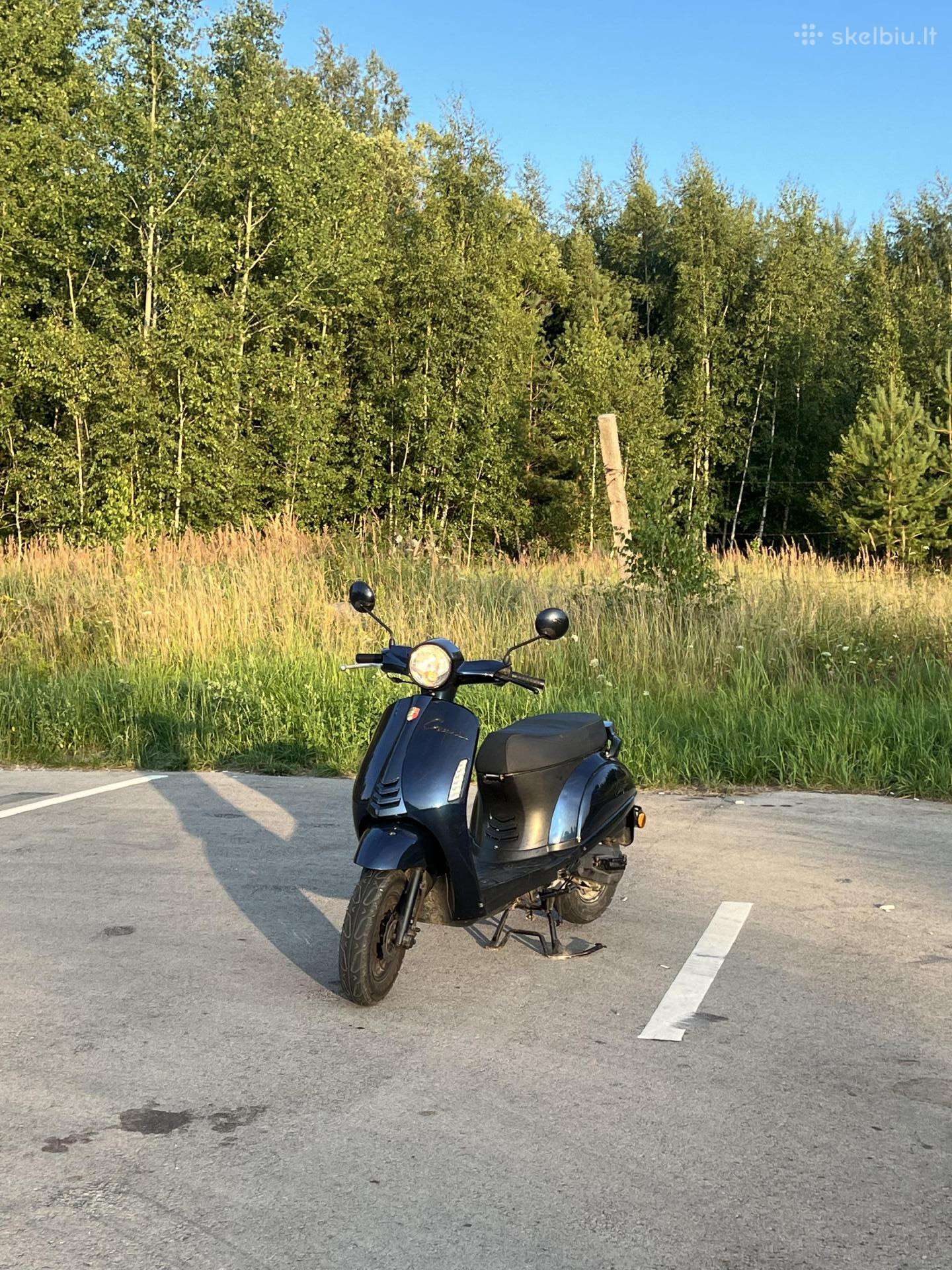 Mosca Capri
